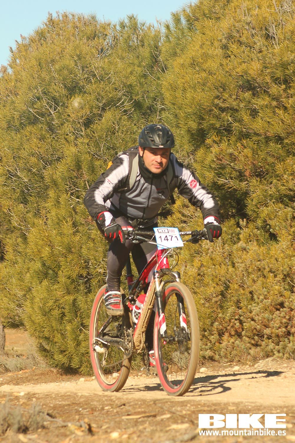 Valdemorillo 2015 Galeria 7