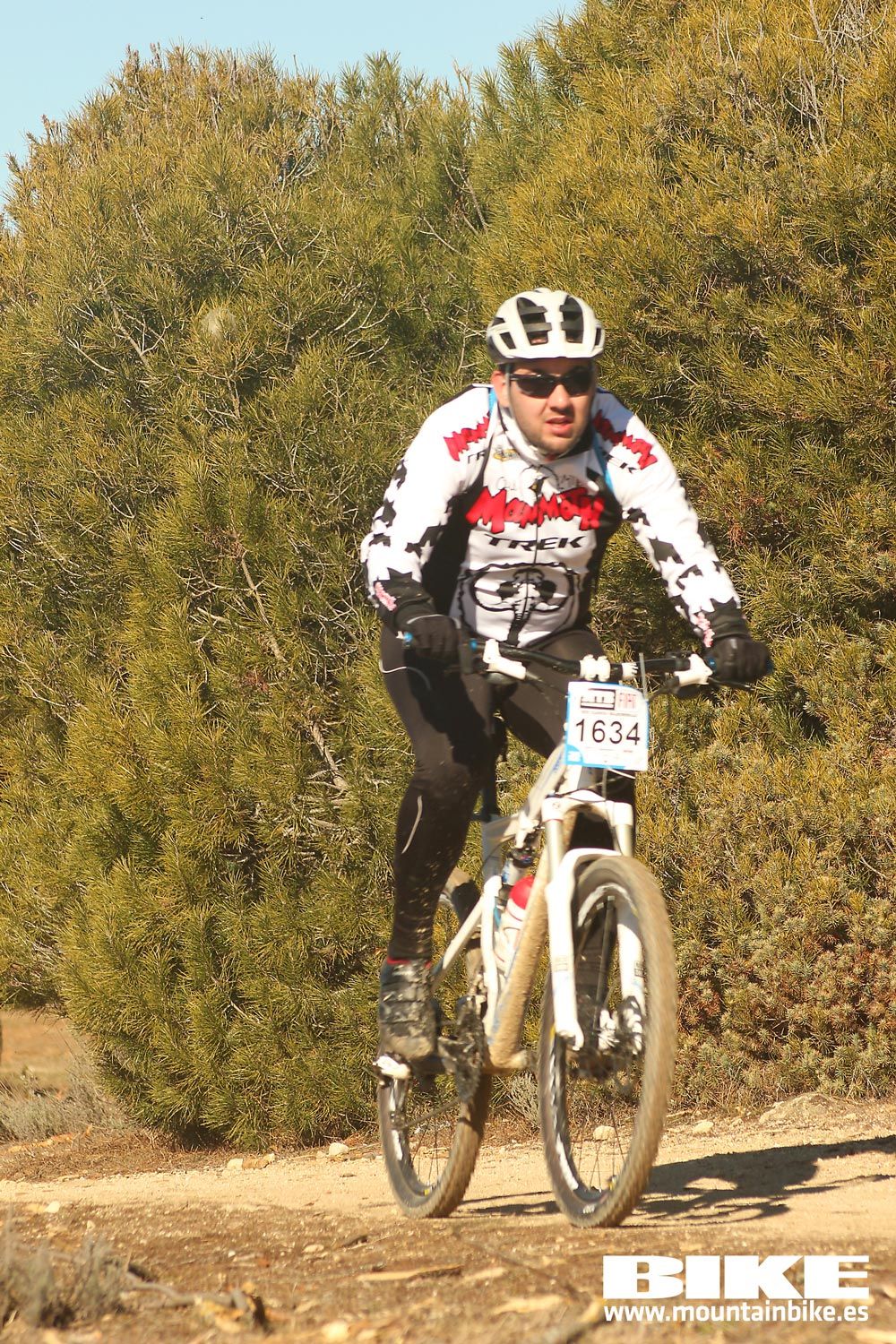 Valdemorillo 2015 Galeria 7
