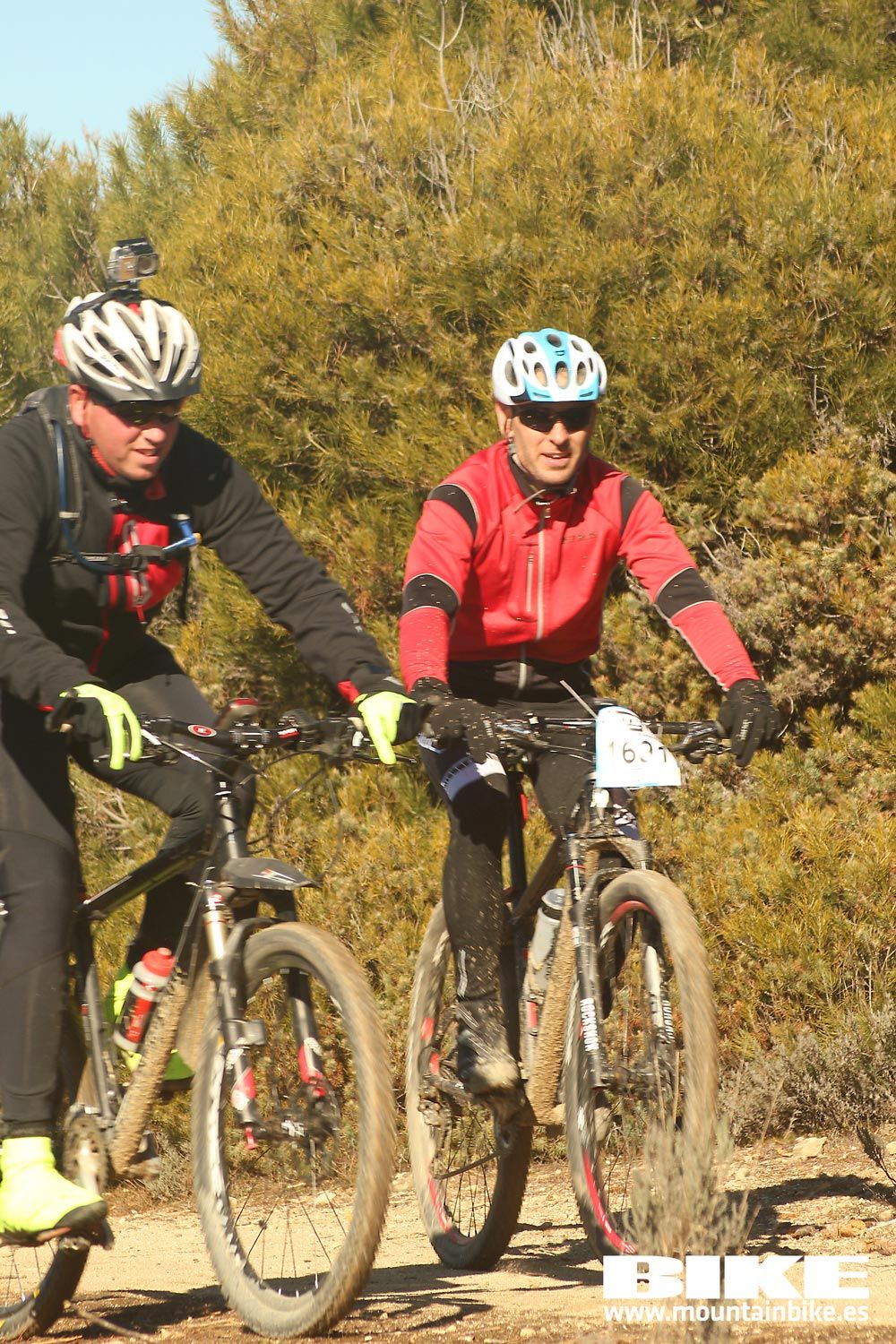 Valdemorillo 2015 Galeria 7