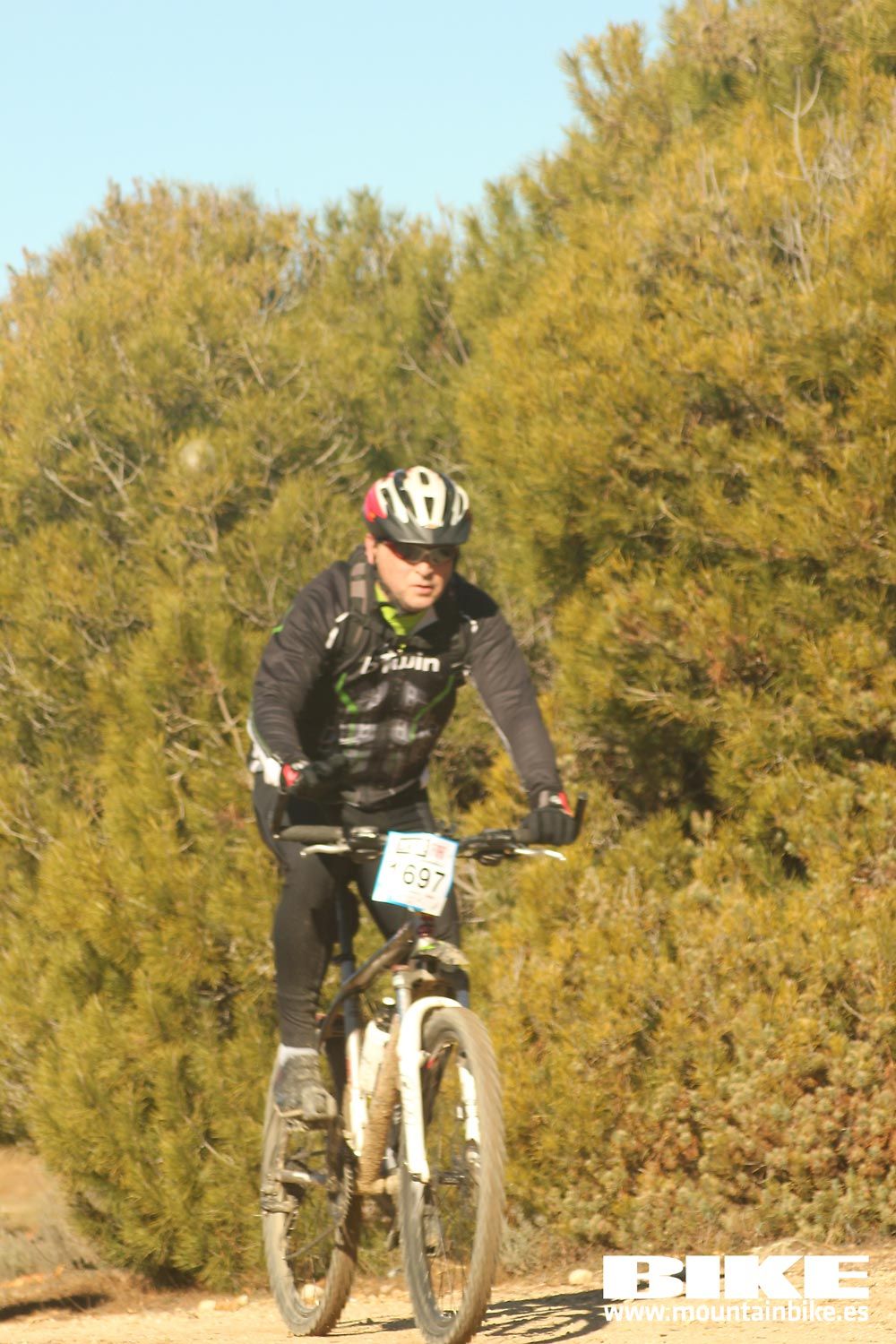 Valdemorillo 2015 Galeria 7