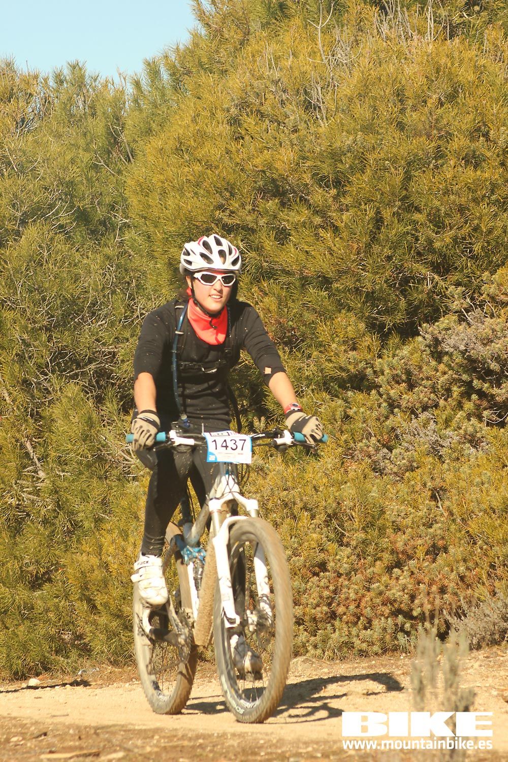 Valdemorillo 2015 Galeria 7