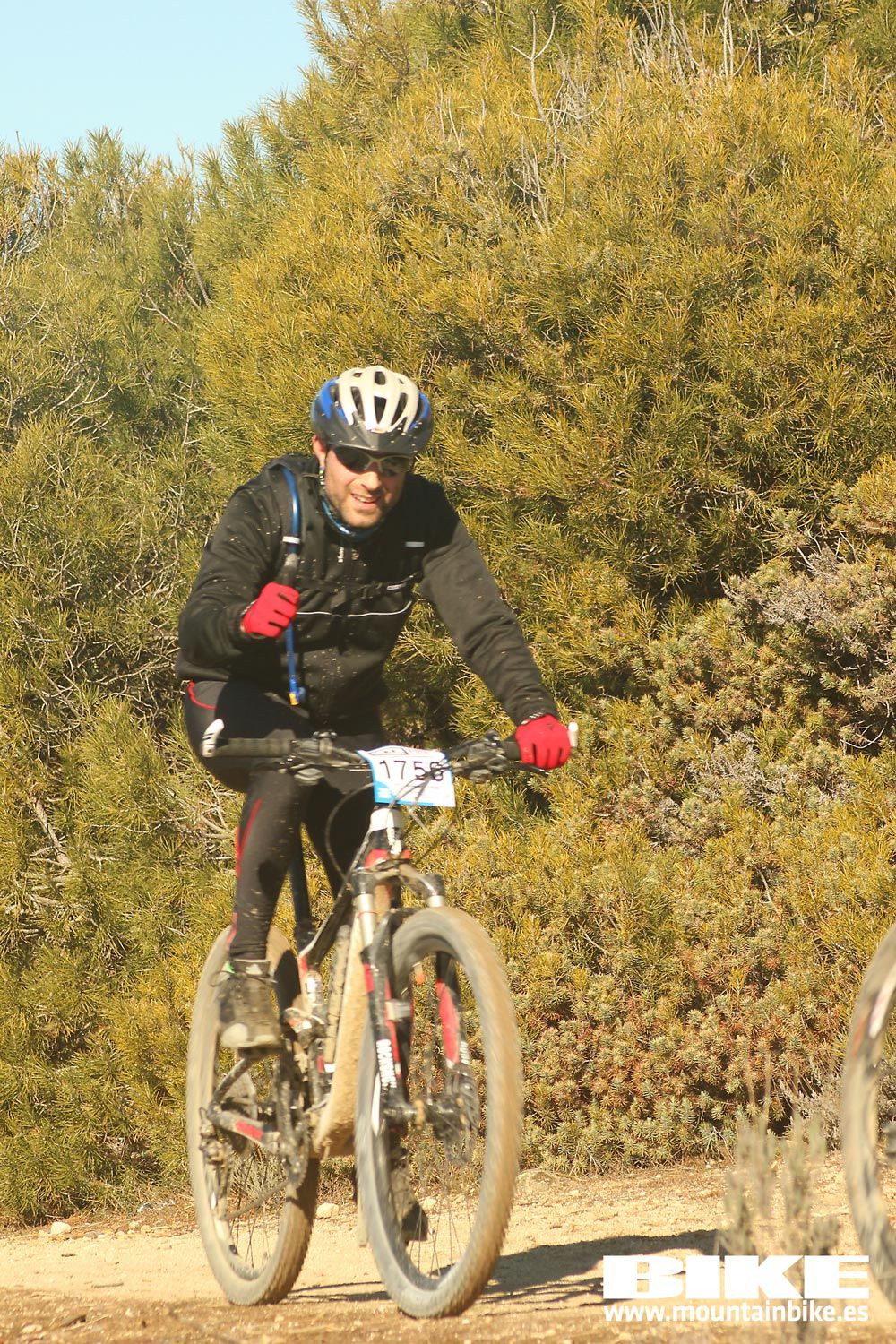 Valdemorillo 2015 Galeria 7