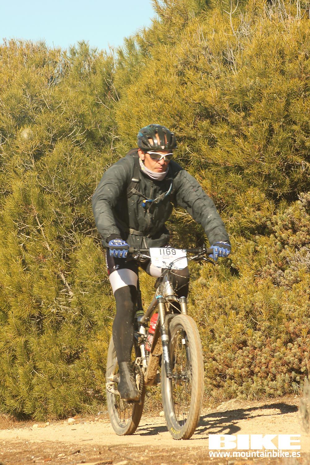 Valdemorillo 2015 Galeria 7