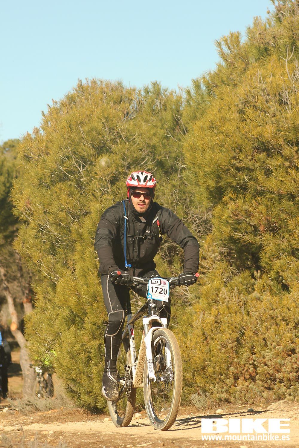 Valdemorillo 2015 Galeria 7