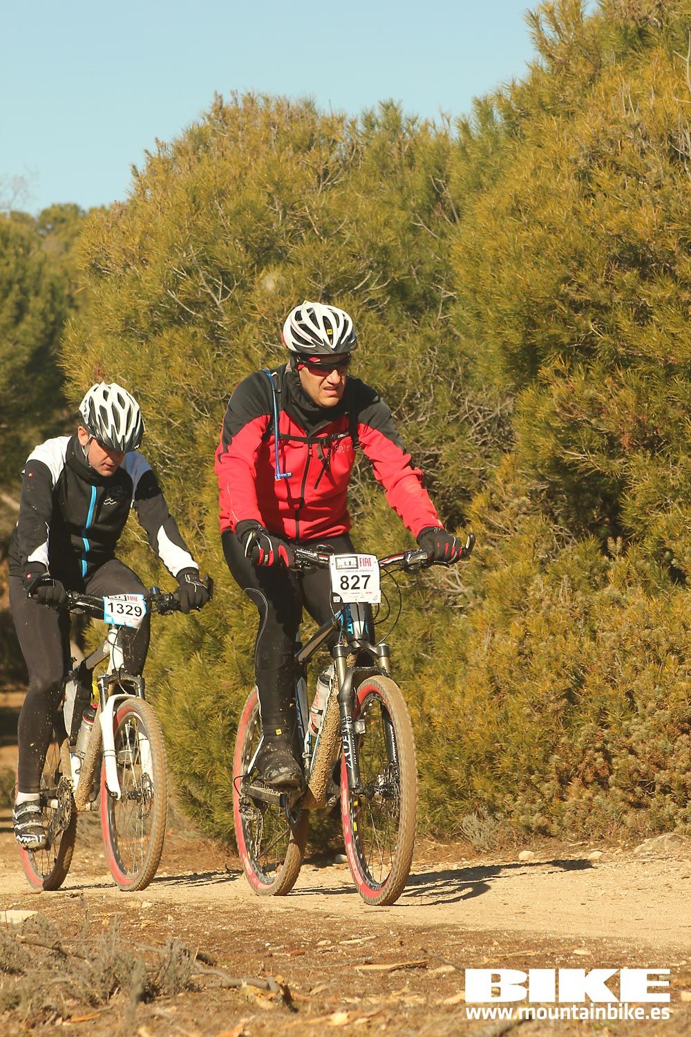 Valdemorillo 2015 Galeria 7