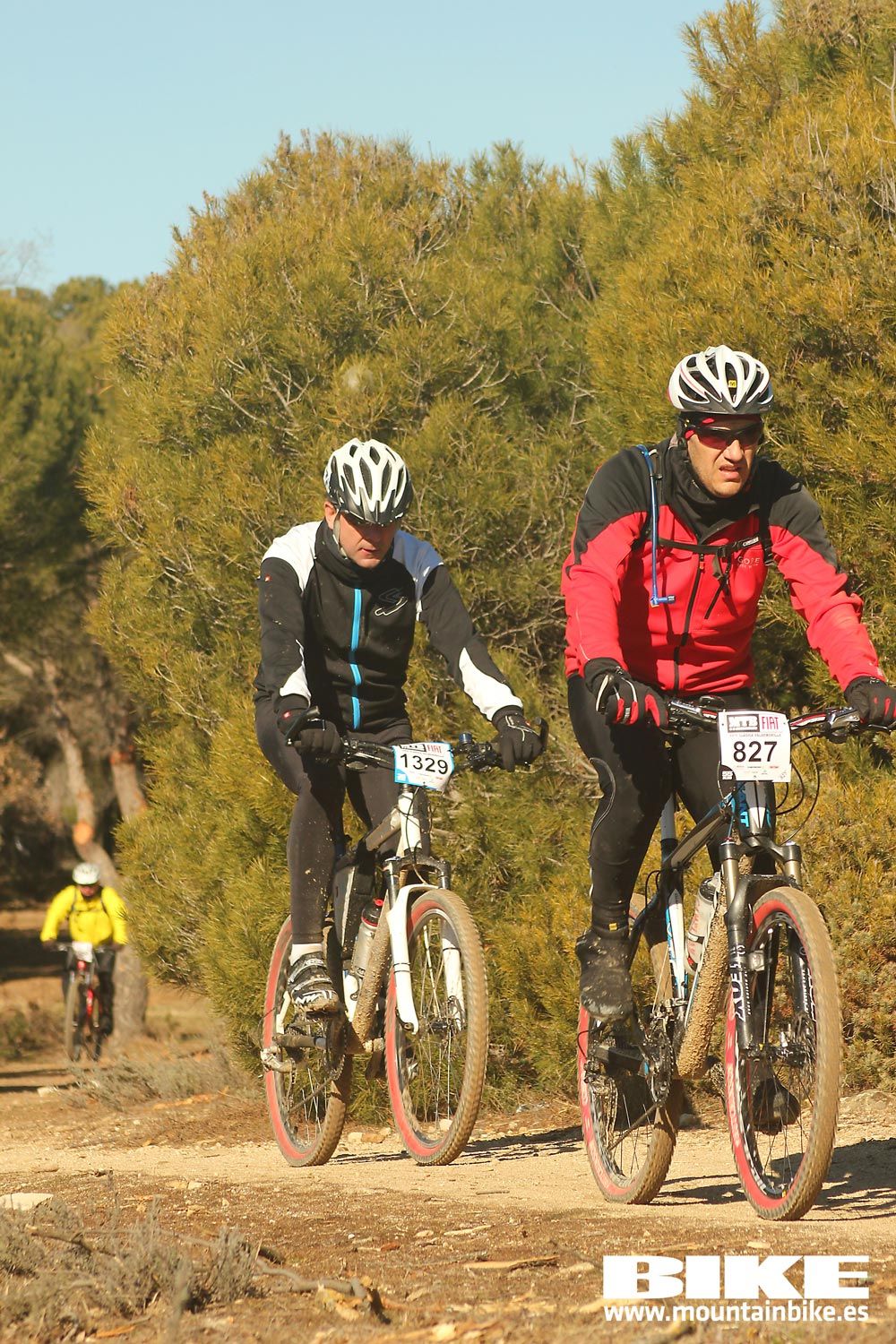 Valdemorillo 2015 Galeria 8
