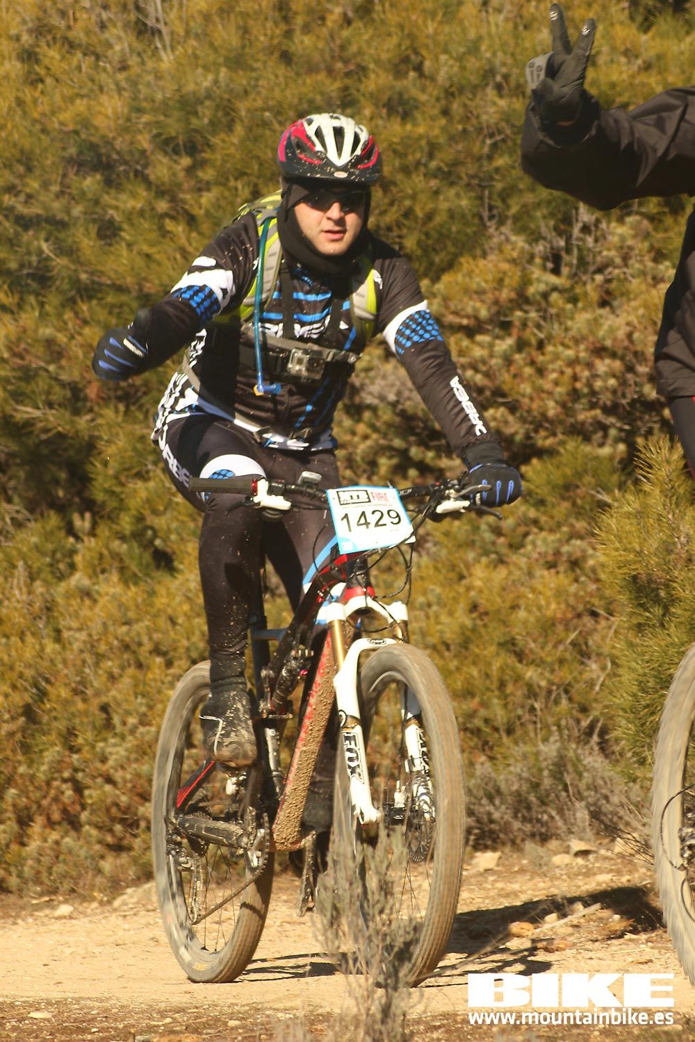Valdemorillo 2015 Galeria 8