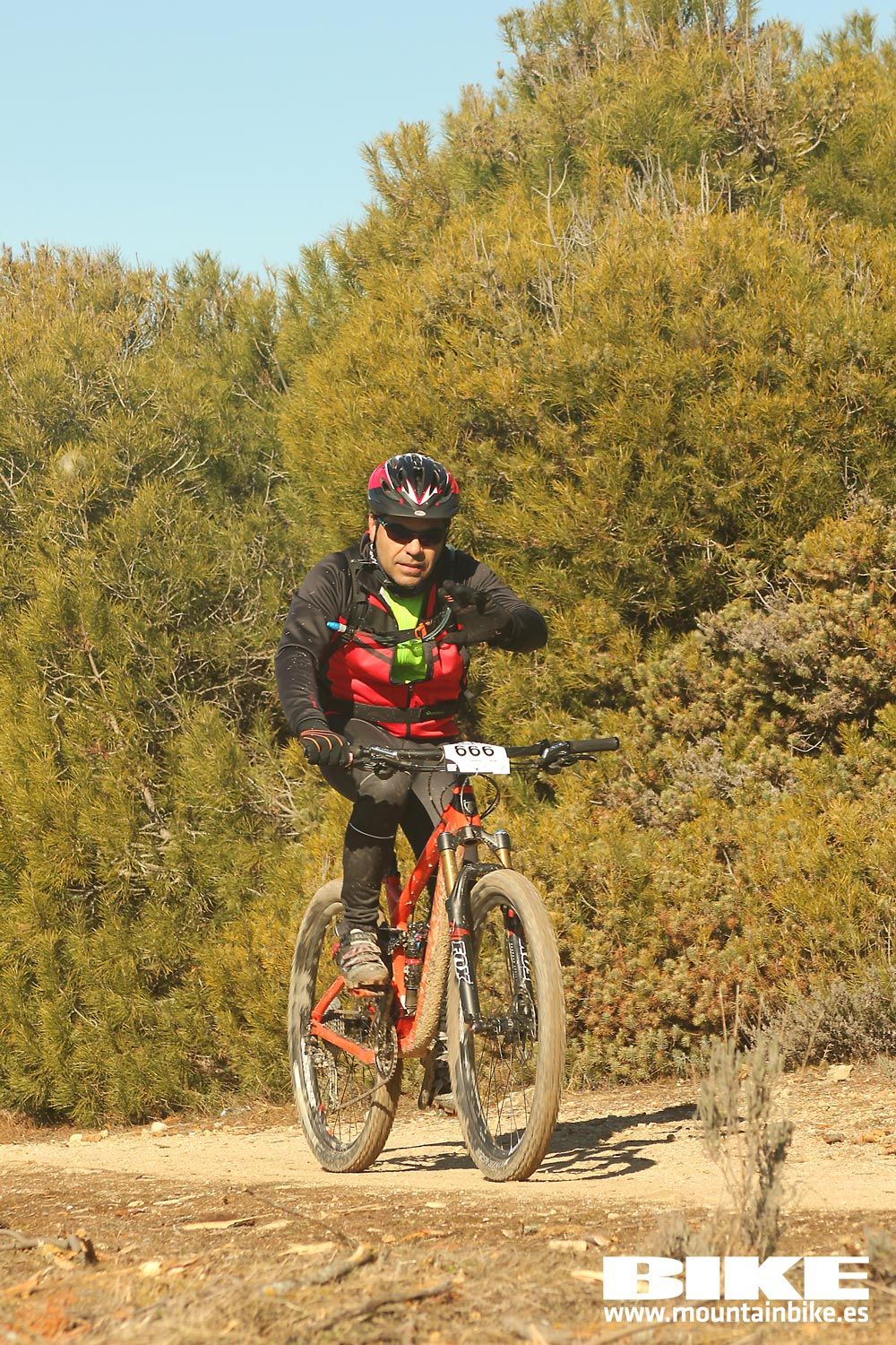 Valdemorillo 2015 Galeria 8