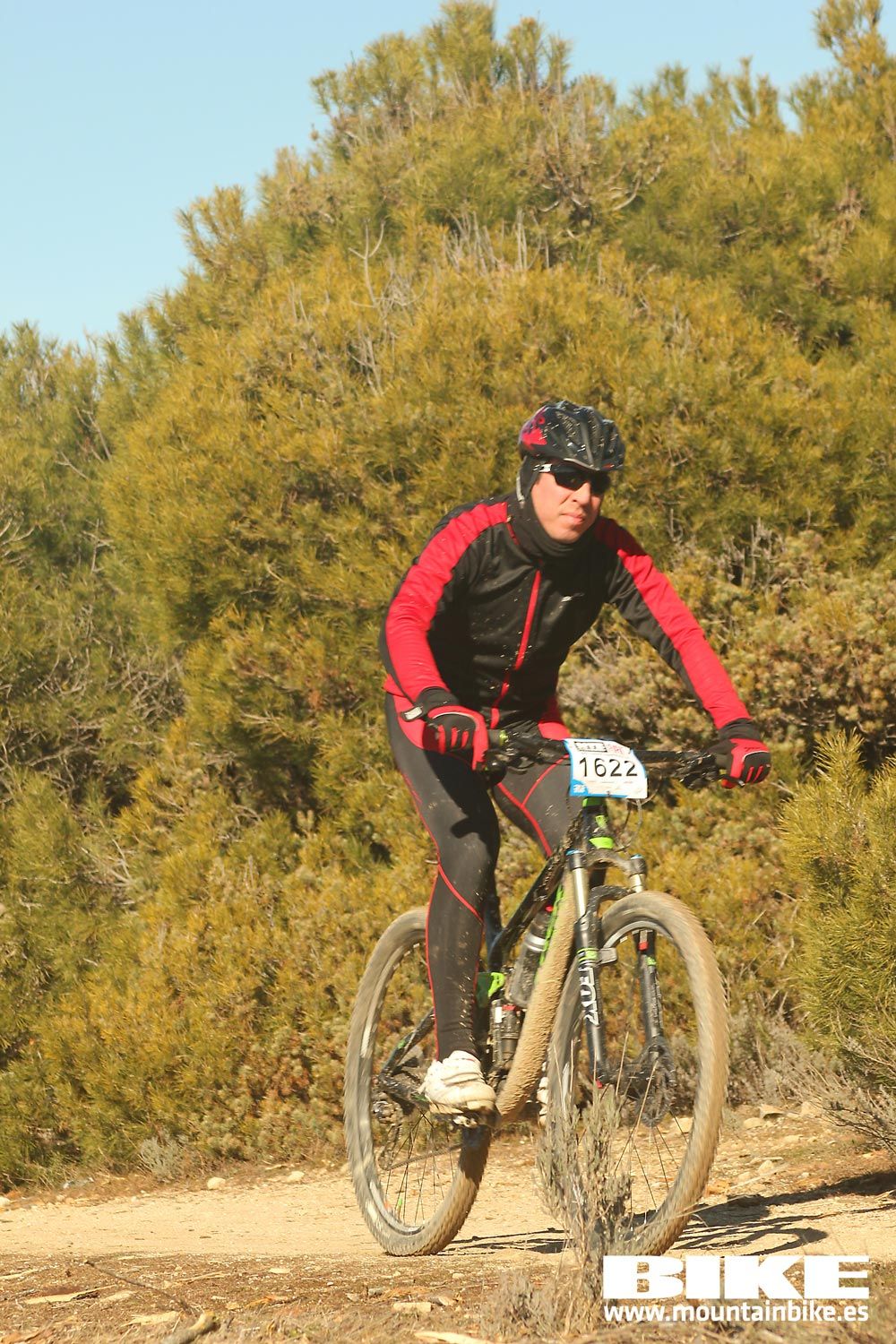 Valdemorillo 2015 Galeria 8