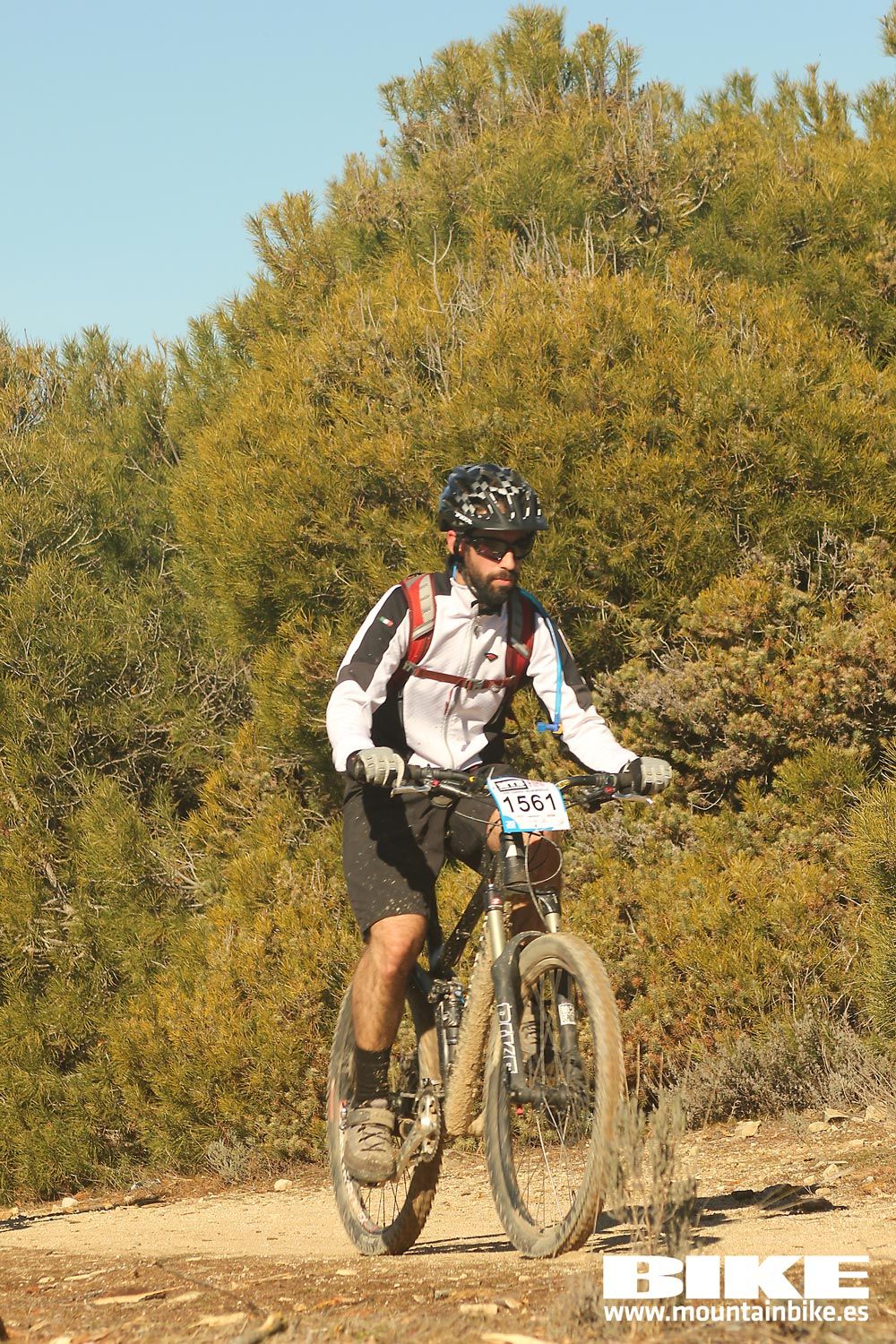 Valdemorillo 2015 Galeria 8