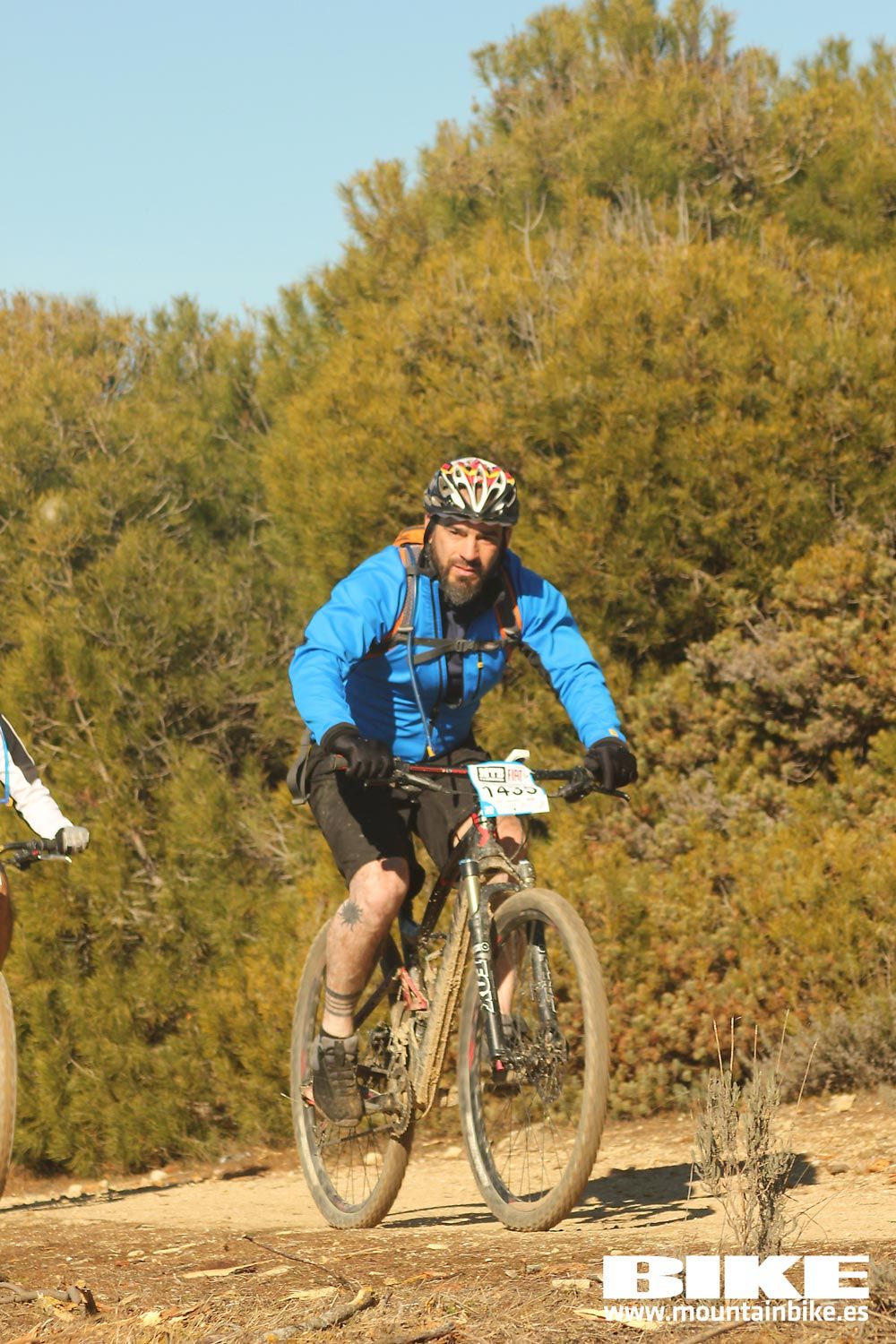 Valdemorillo 2015 Galeria 8