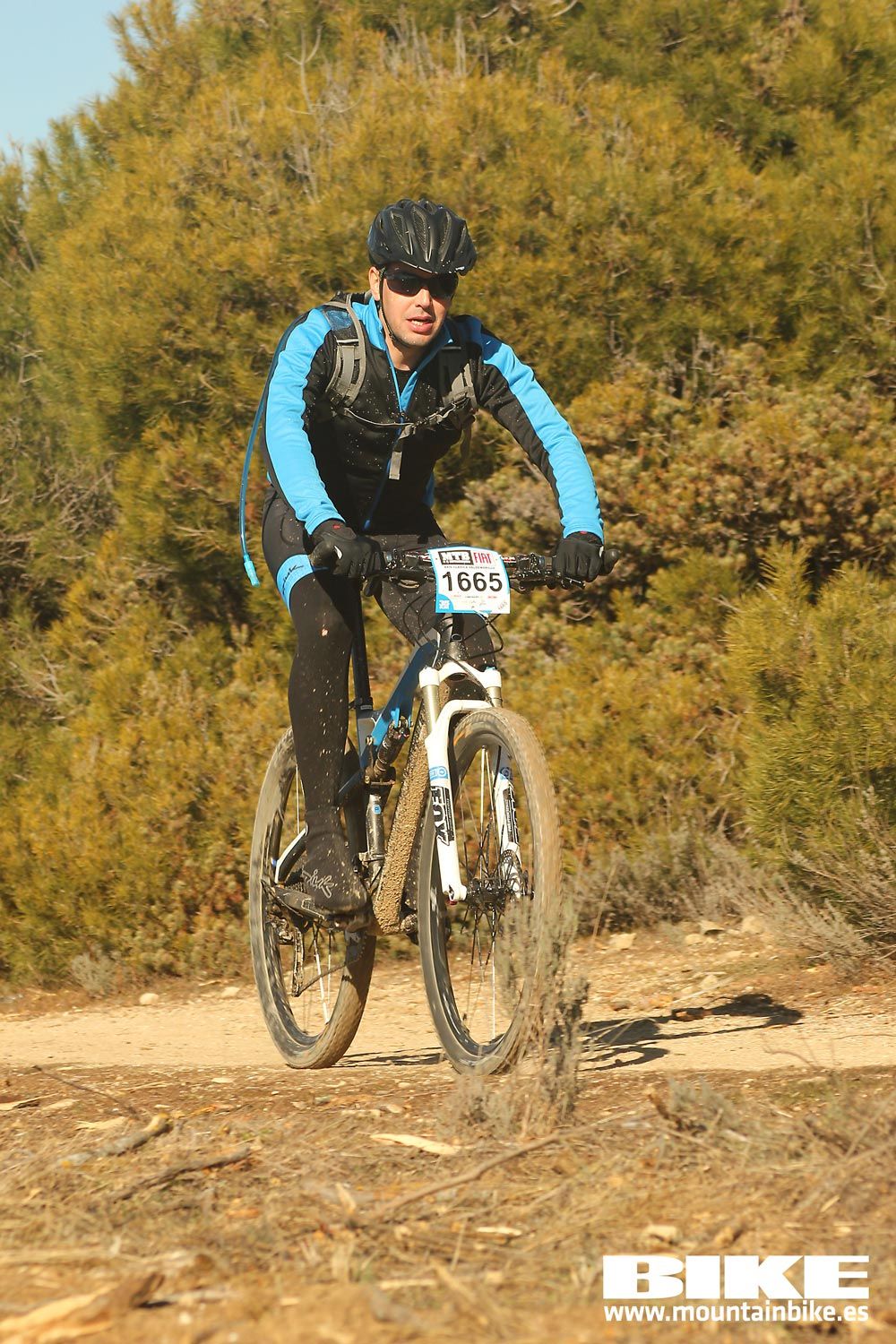 Valdemorillo 2015 Galeria 8