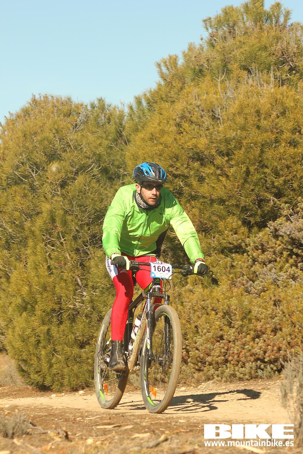 Valdemorillo 2015 Galeria 8