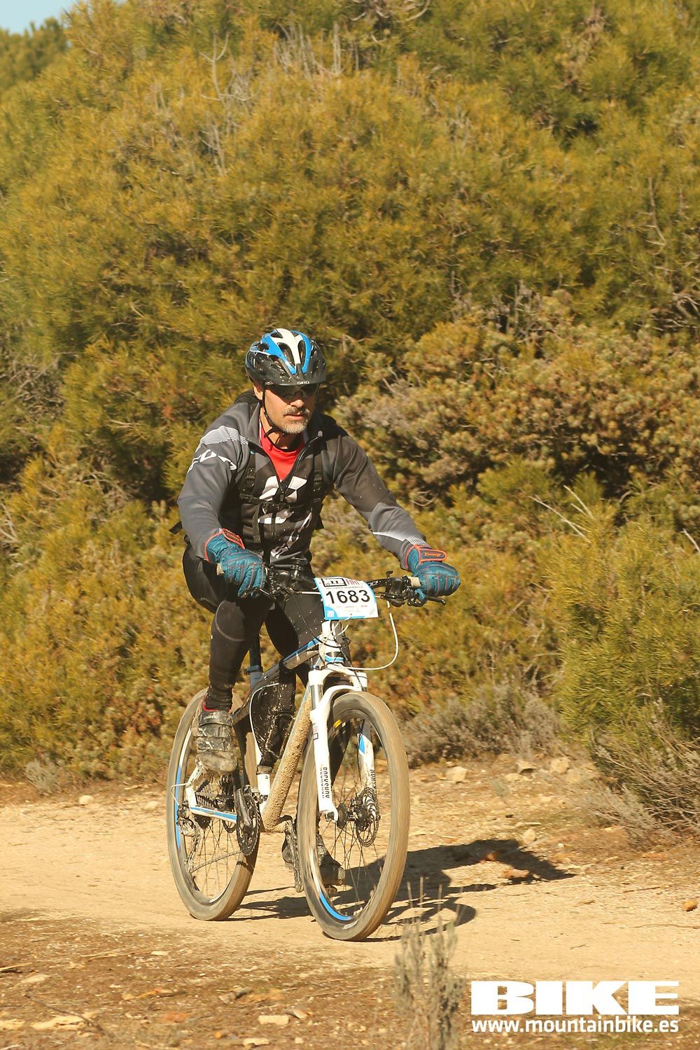 Valdemorillo 2015 Galeria 8