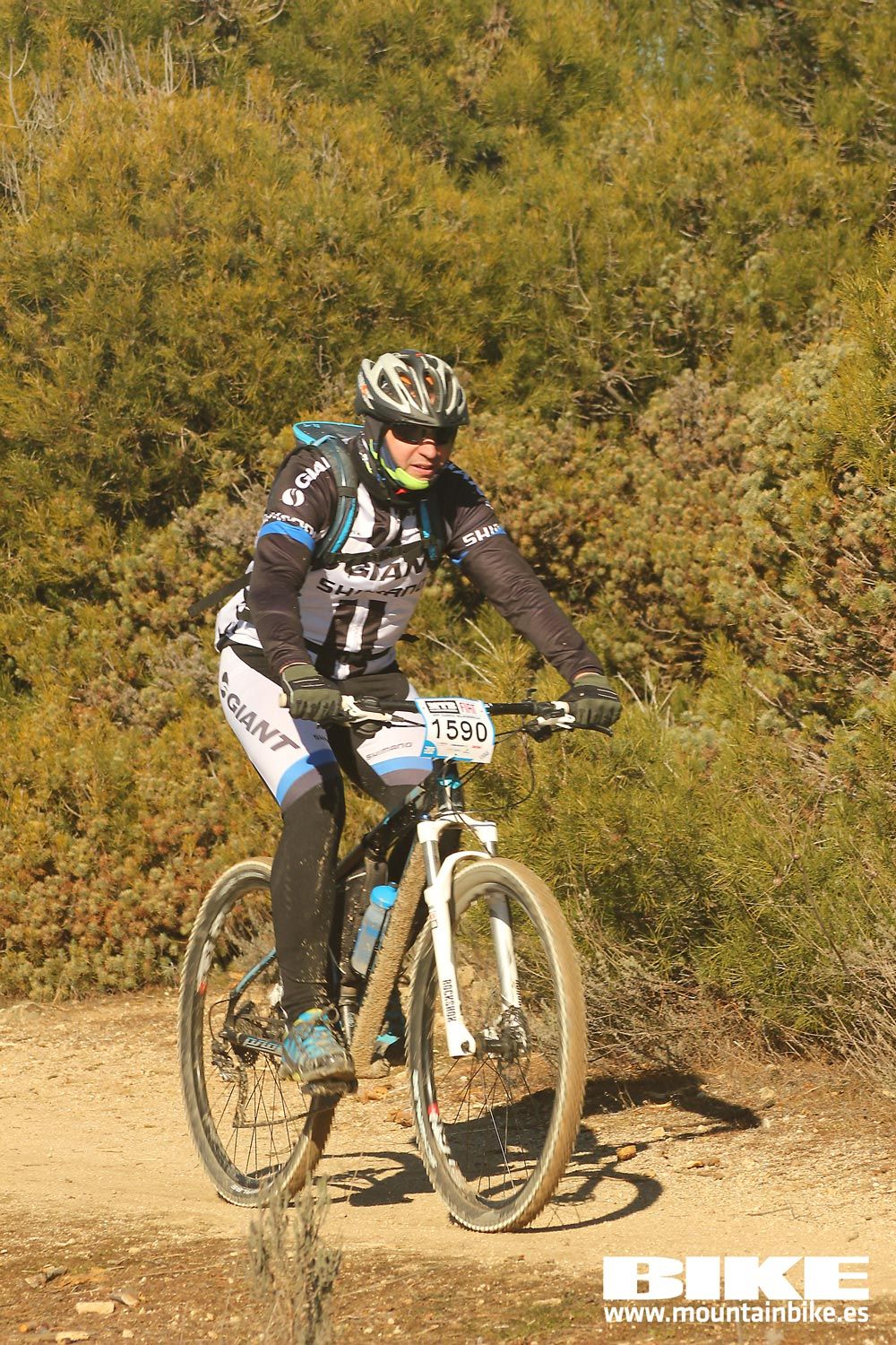 Valdemorillo 2015 Galeria 8