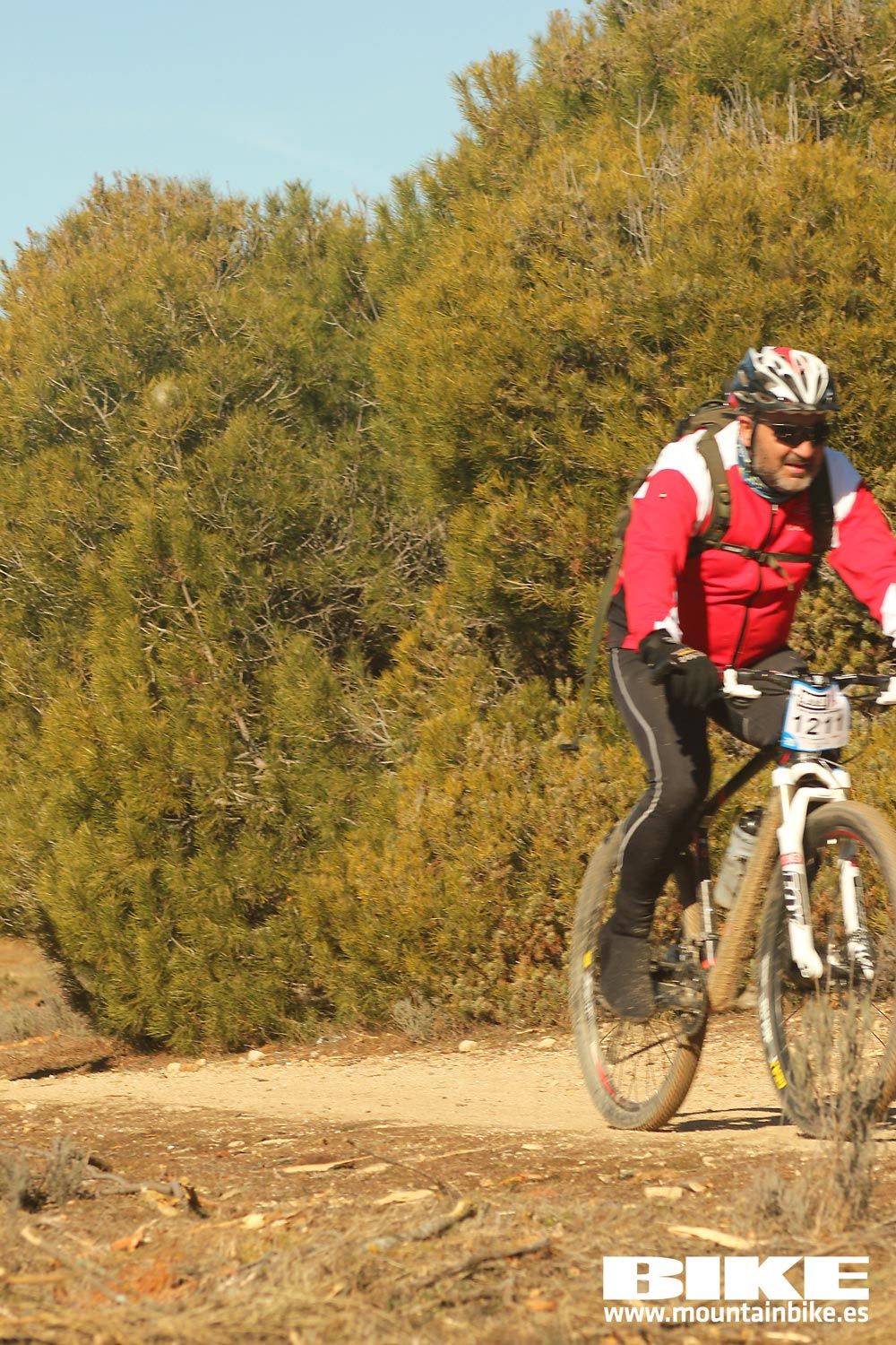 Valdemorillo 2015 Galeria 8