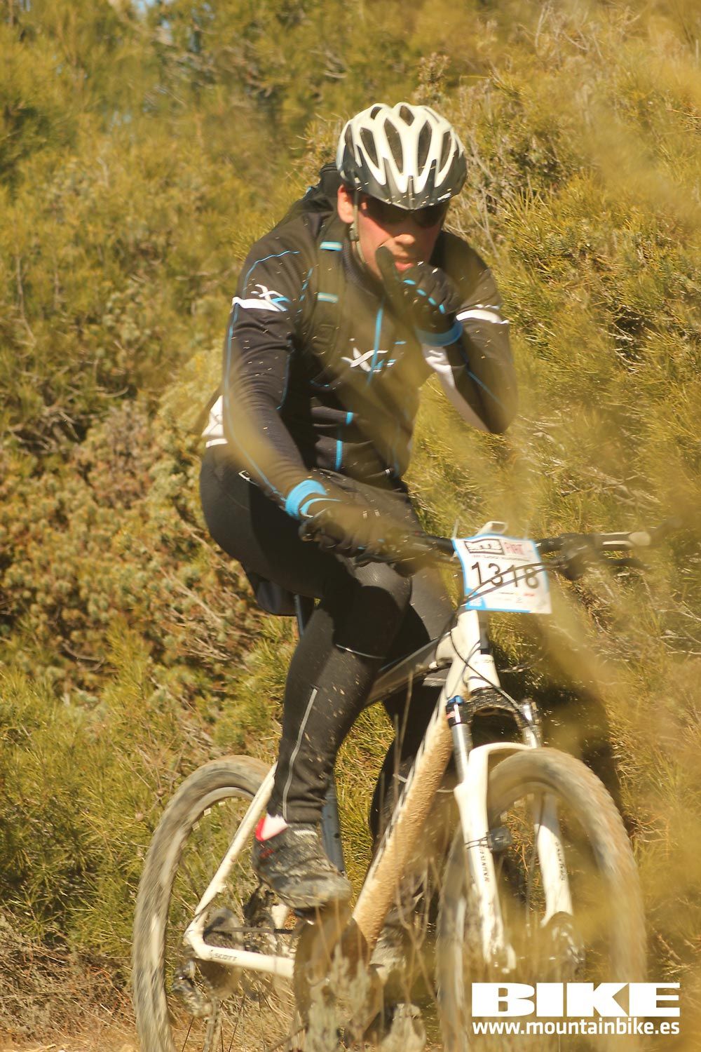 Valdemorillo 2015 Galeria 8
