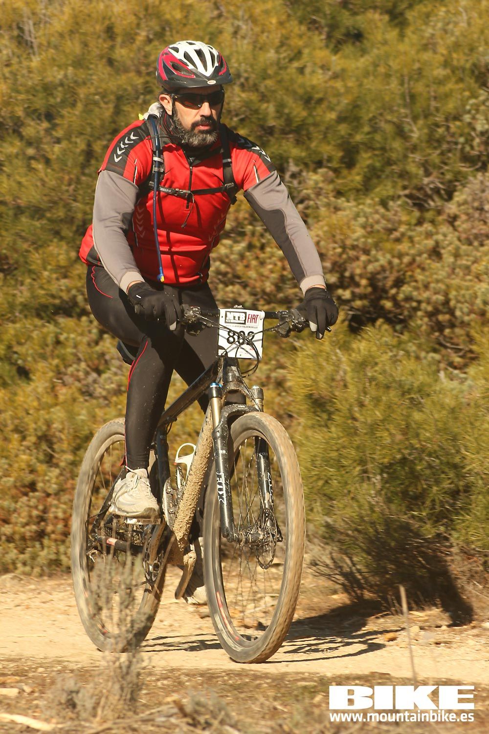 Valdemorillo 2015 Galeria 9