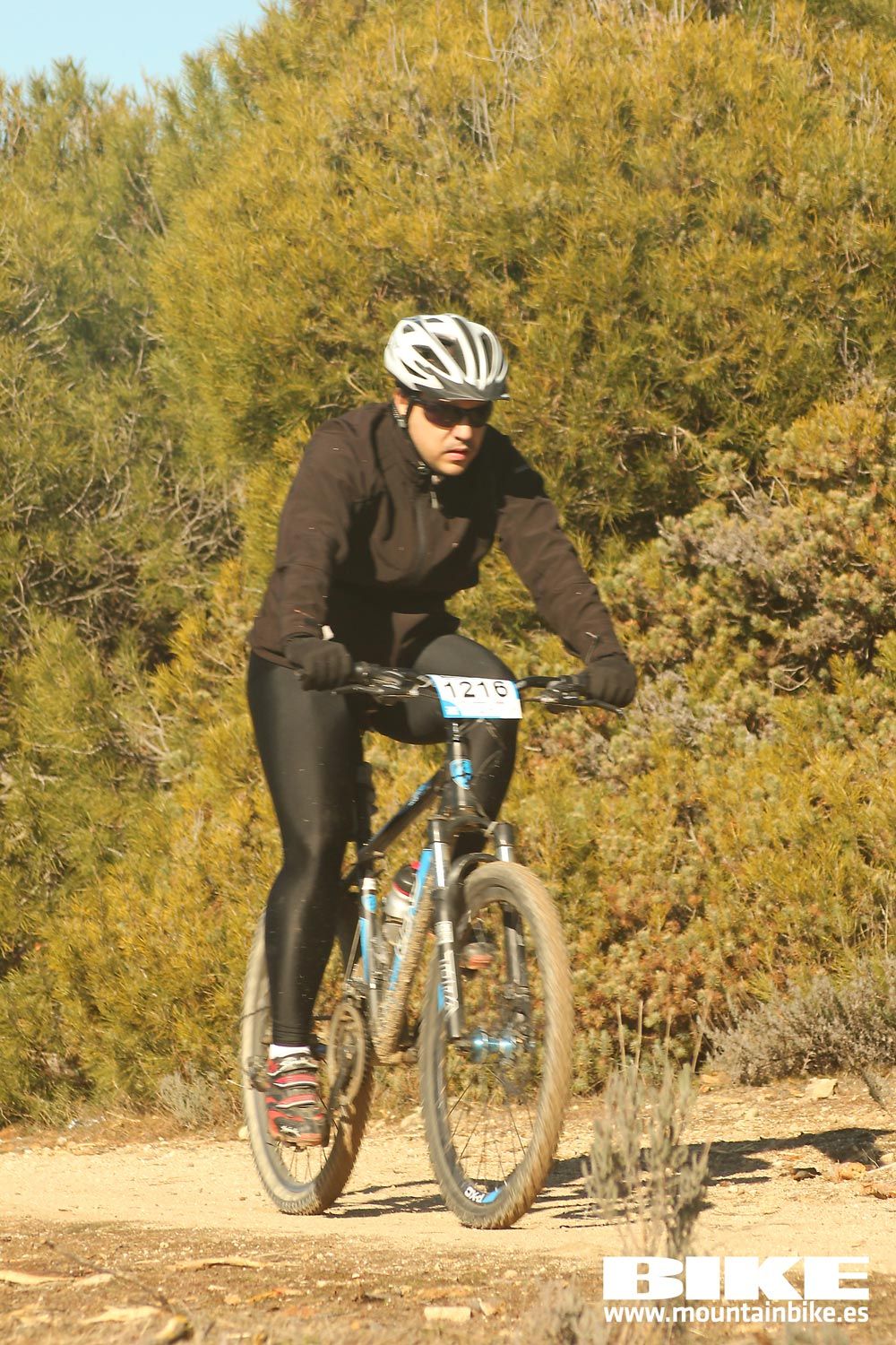 Valdemorillo 2015 Galeria 9