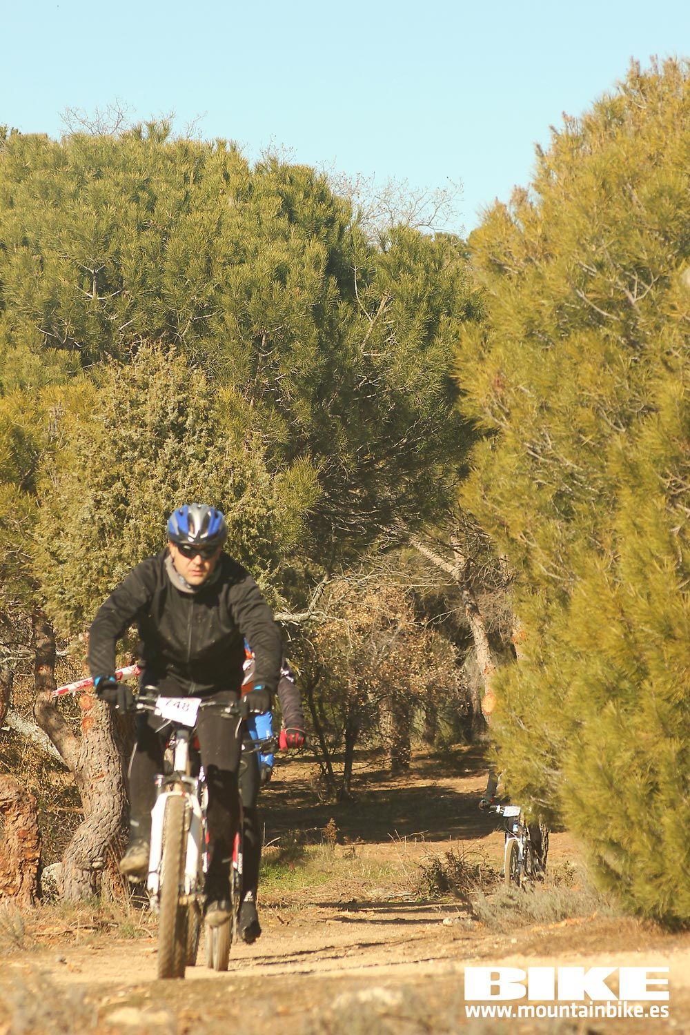 Valdemorillo 2015 Galeria 9
