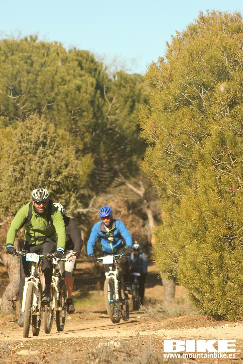 Valdemorillo 2015 Galeria 9