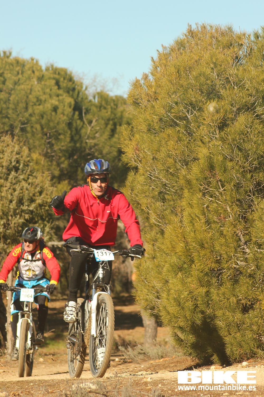 Valdemorillo 2015 Galeria 9