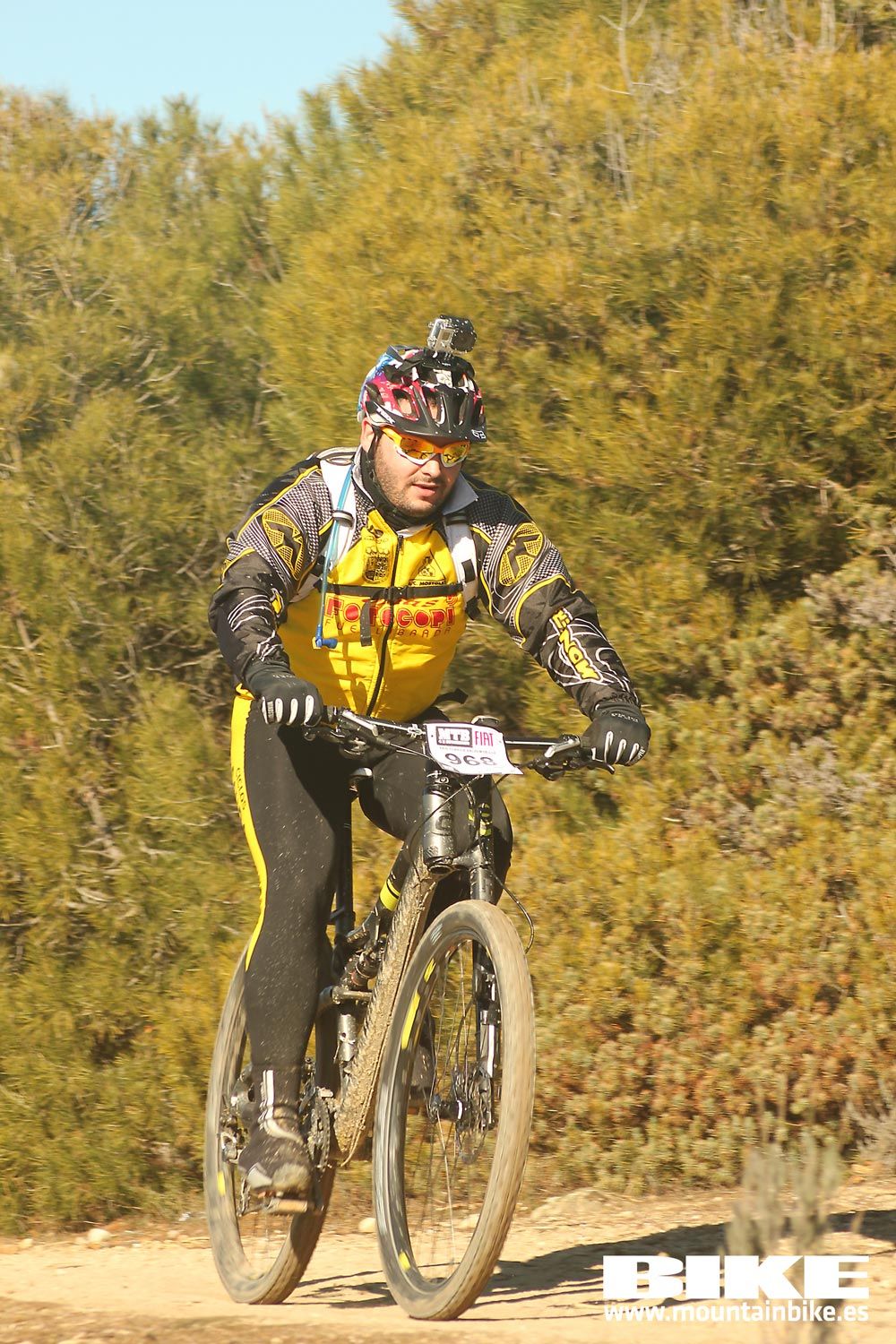 Valdemorillo 2015 Galeria 9