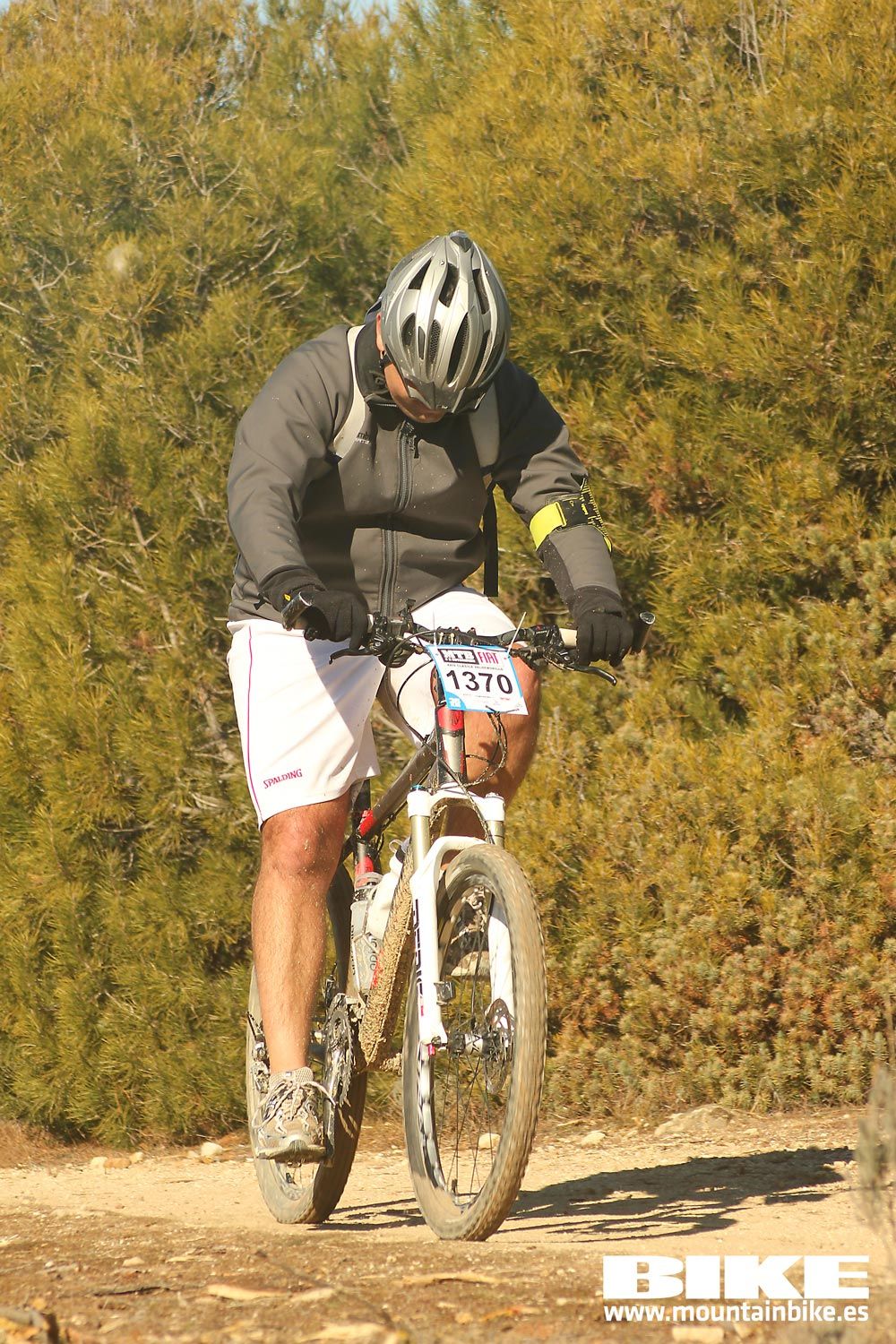 Valdemorillo 2015 Galeria 9