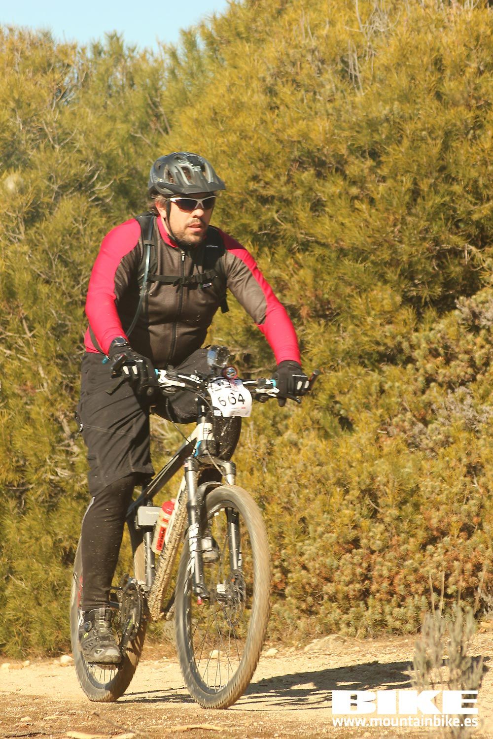 Valdemorillo 2015 Galeria 9
