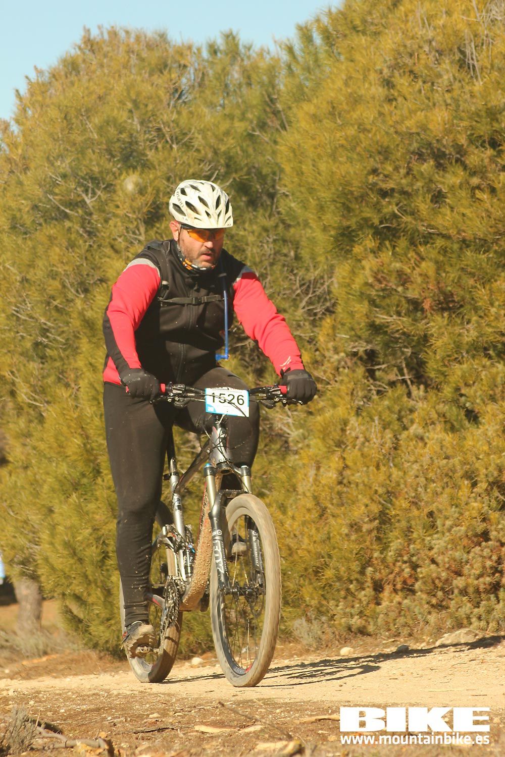 Valdemorillo 2015 Galeria 9