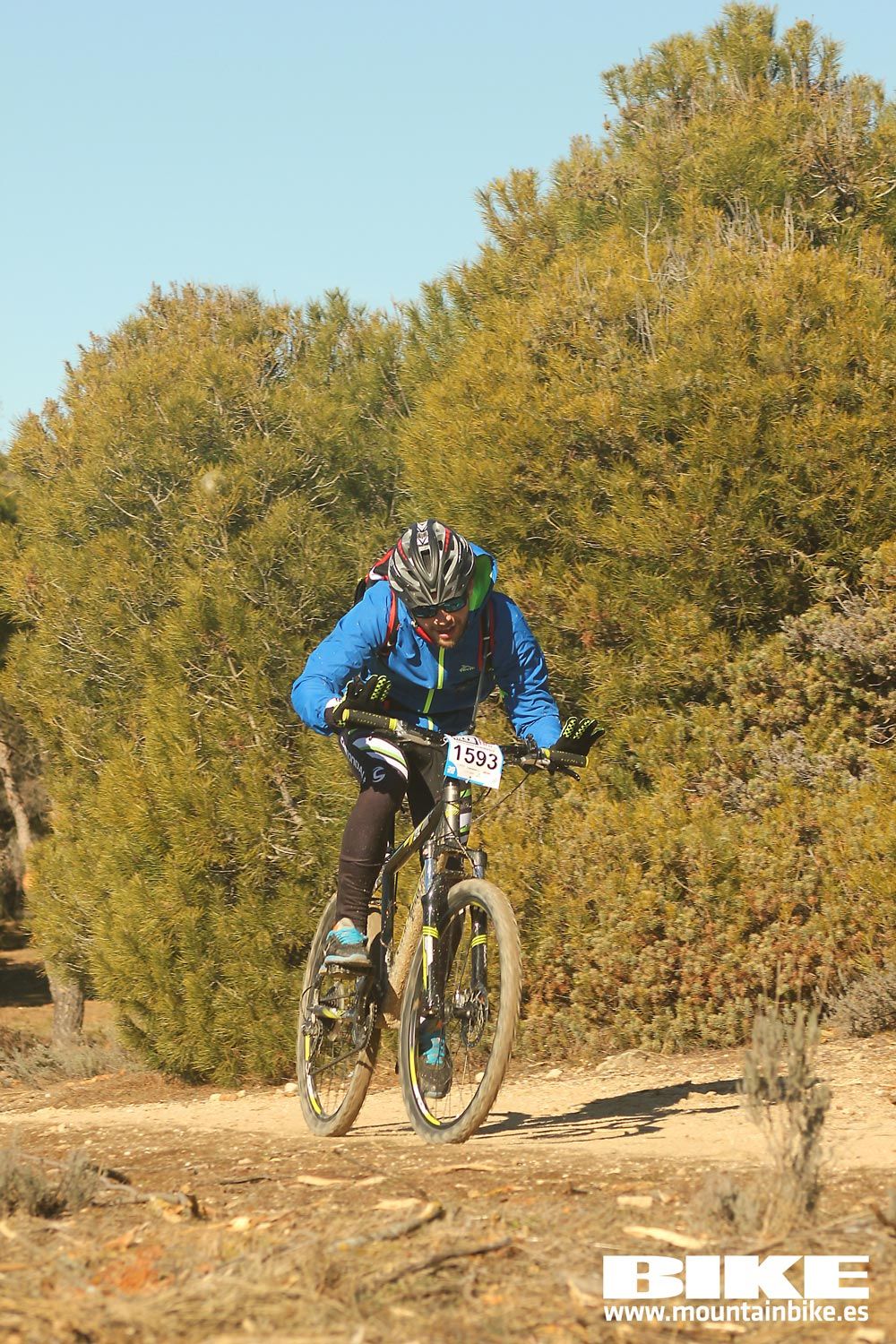 Valdemorillo 2015 Galeria 9