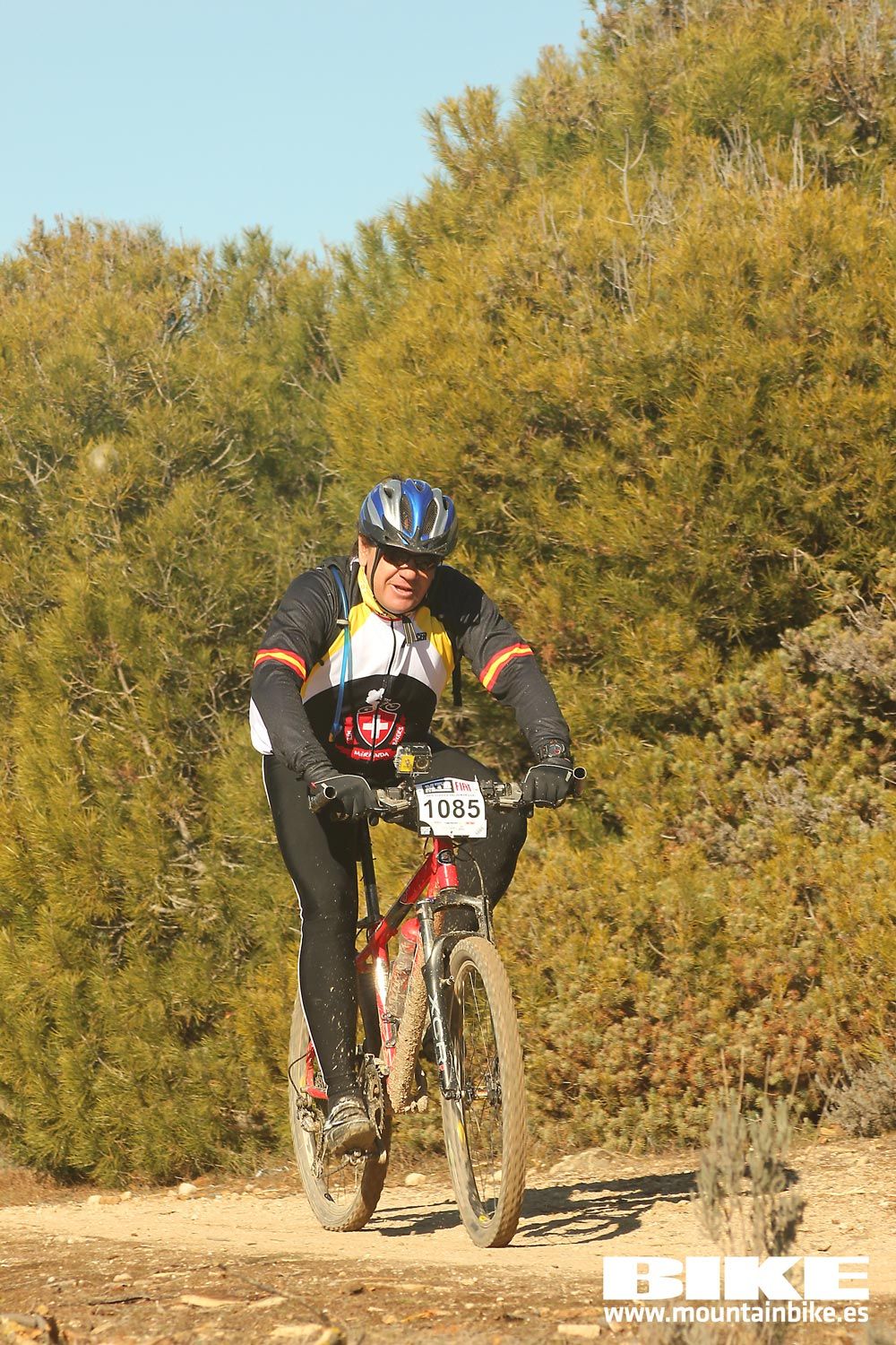 Valdemorillo 2015 Galeria 9
