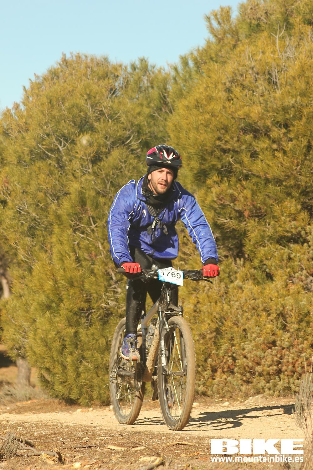 Valdemorillo 2015 Galeria 9