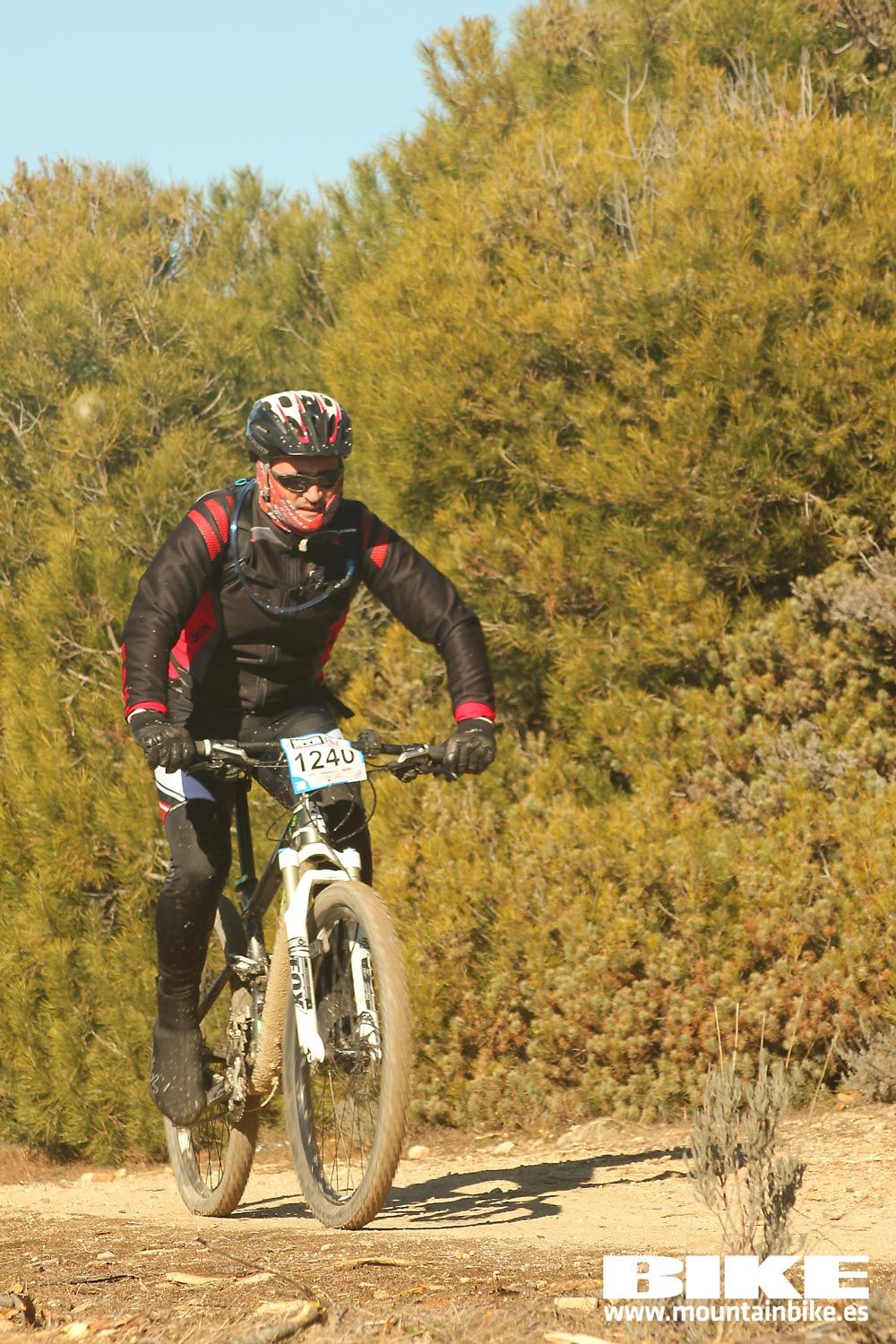 Valdemorillo 2015 Galeria 9