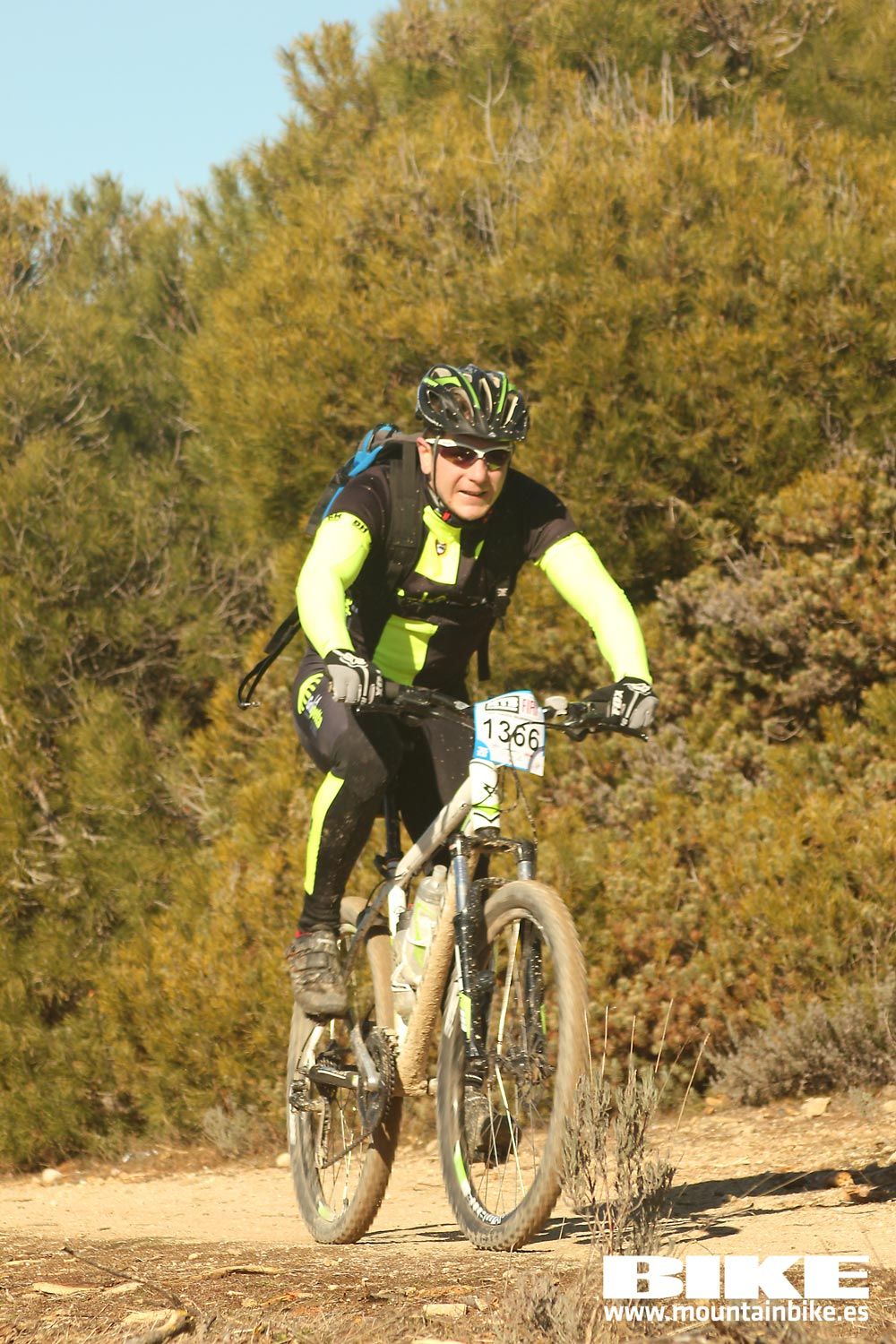 Valdemorillo 2015 Galeria 9