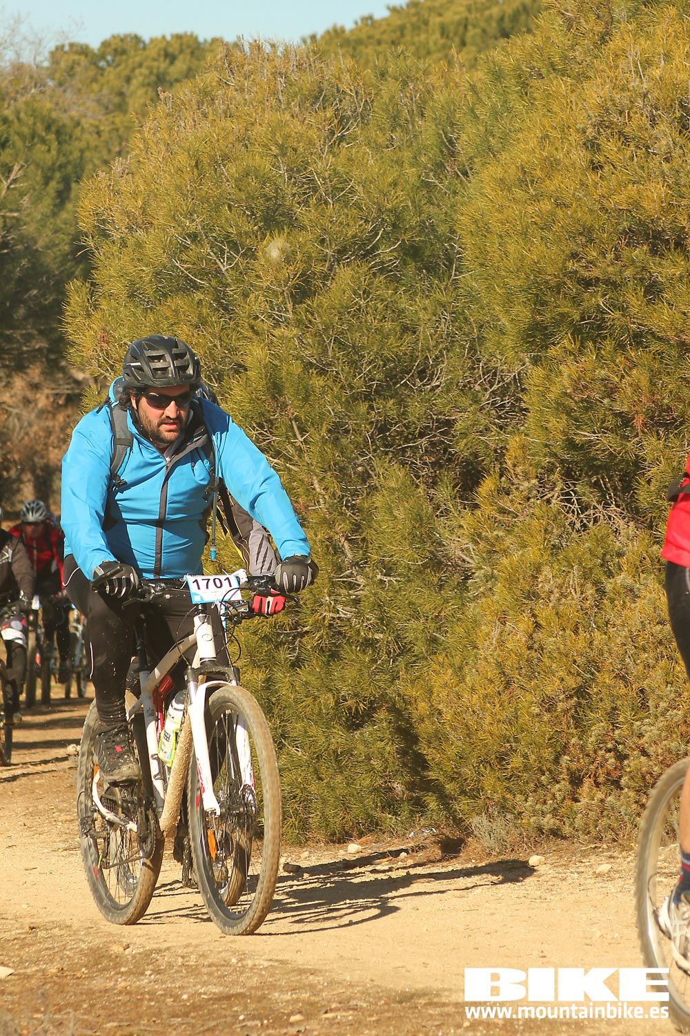 Valdemorillo 2015 Galeria 9