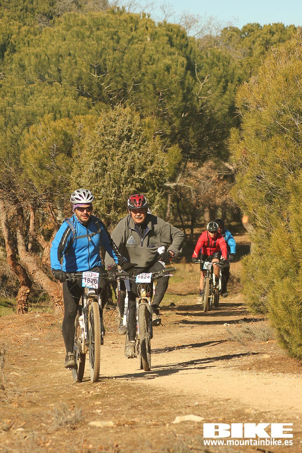 Valdemorillo 2015 Galeria 9