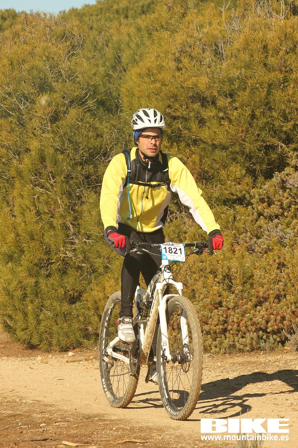 Valdemorillo 2015 Galeria 9