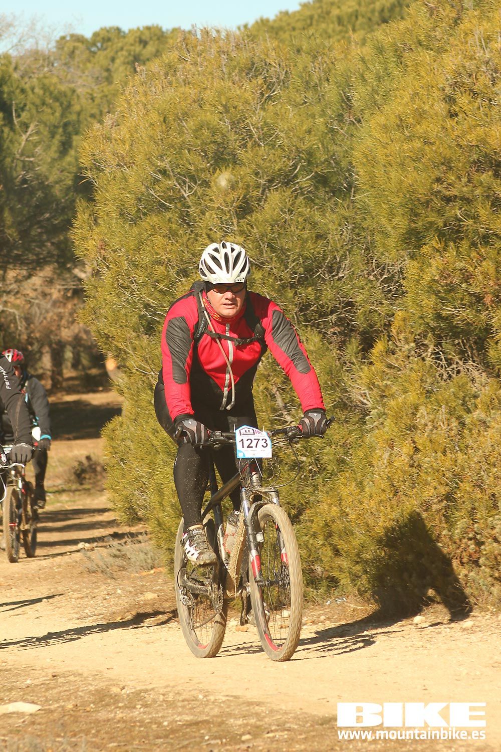 Valdemorillo 2015 Galeria 9