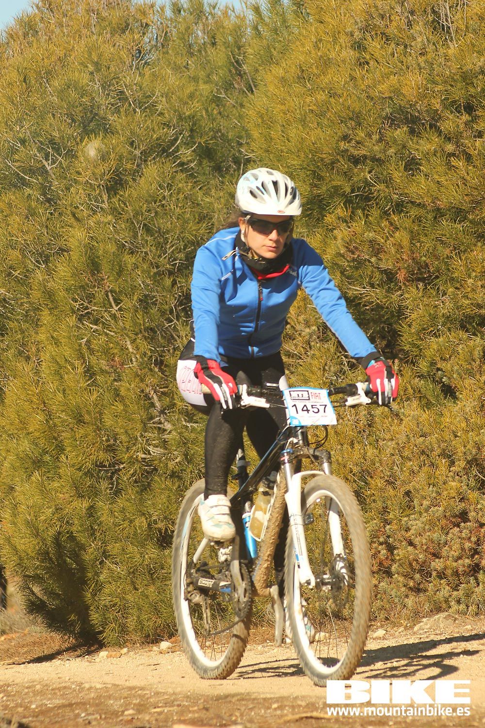 Valdemorillo 2015 Galeria 9