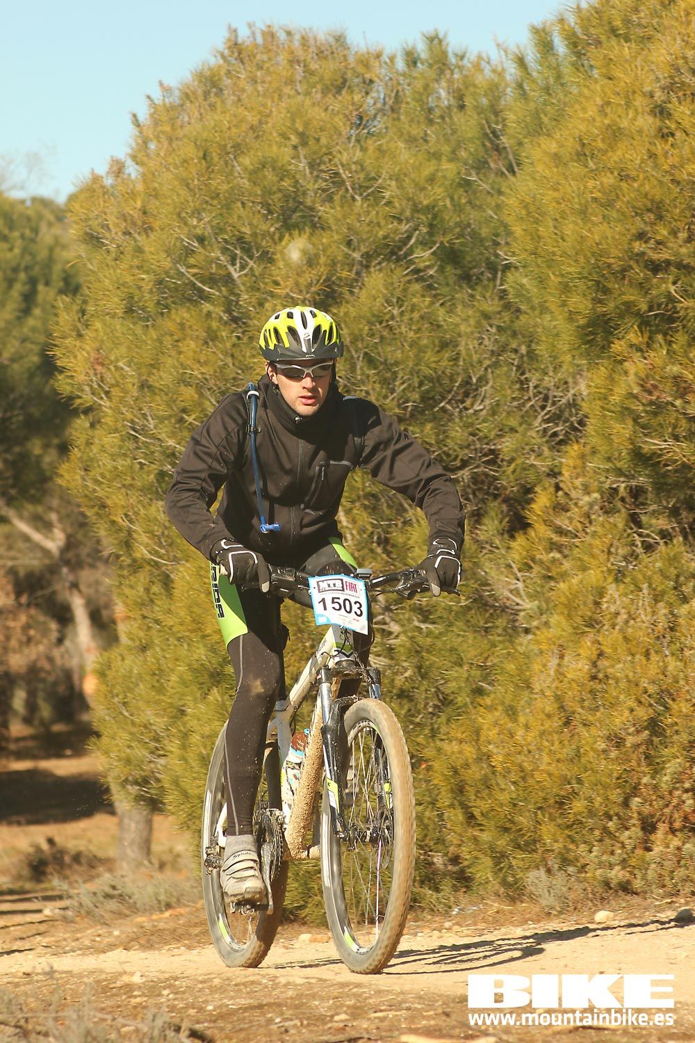 Valdemorillo 2015 Galeria 9