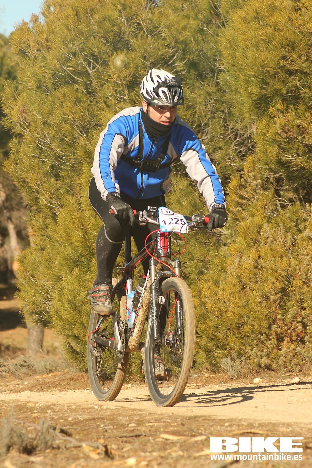 Valdemorillo 2015 Galeria 9