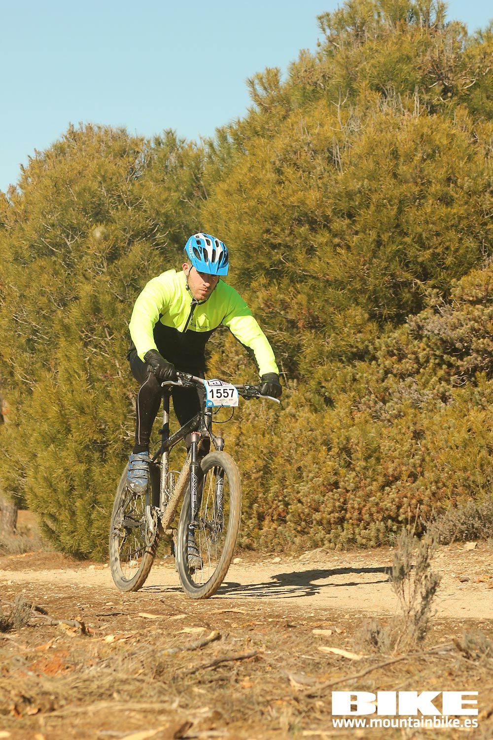 Valdemorillo 2015 Galeria 10