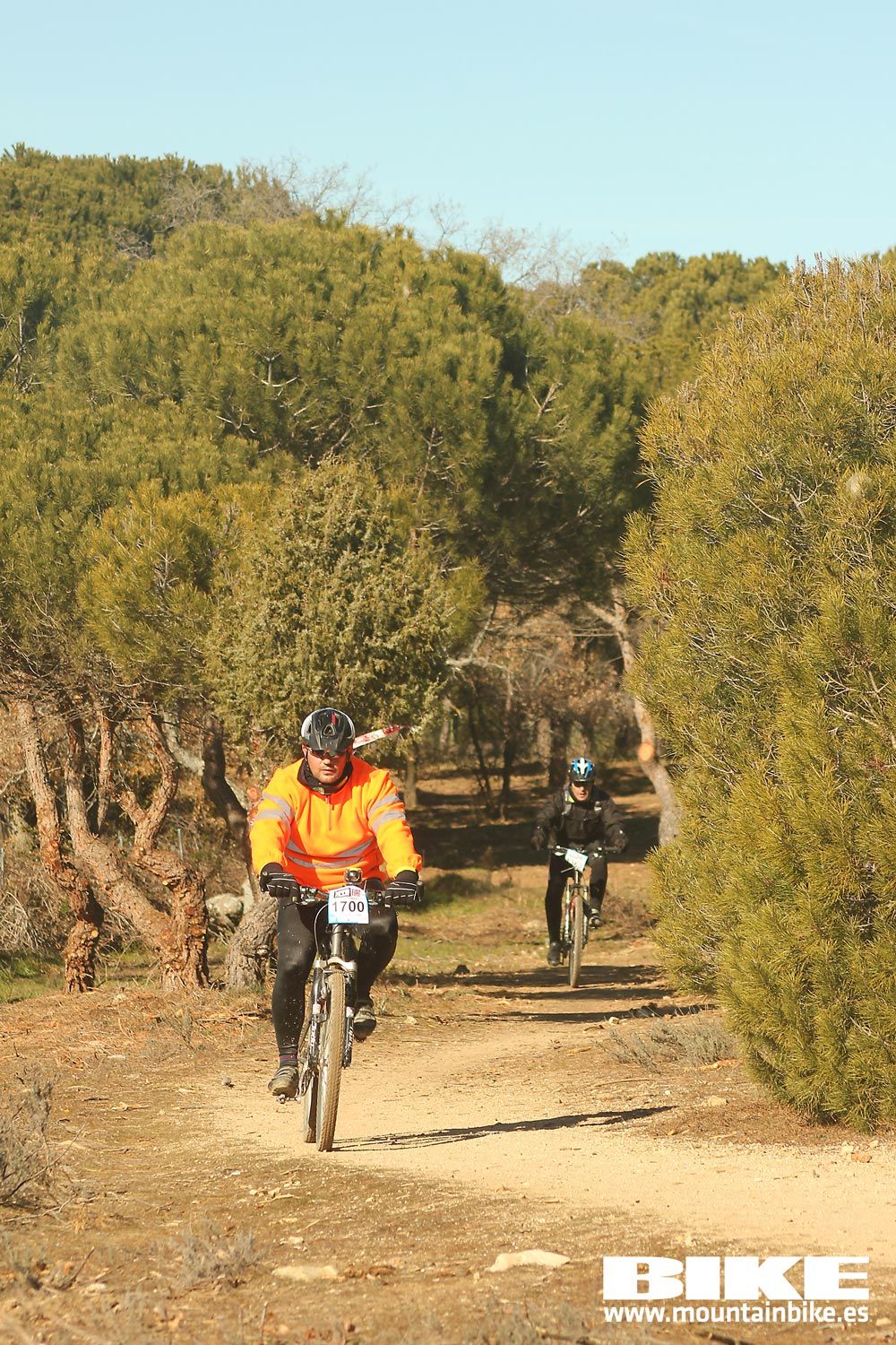 Valdemorillo 2015 Galeria 10