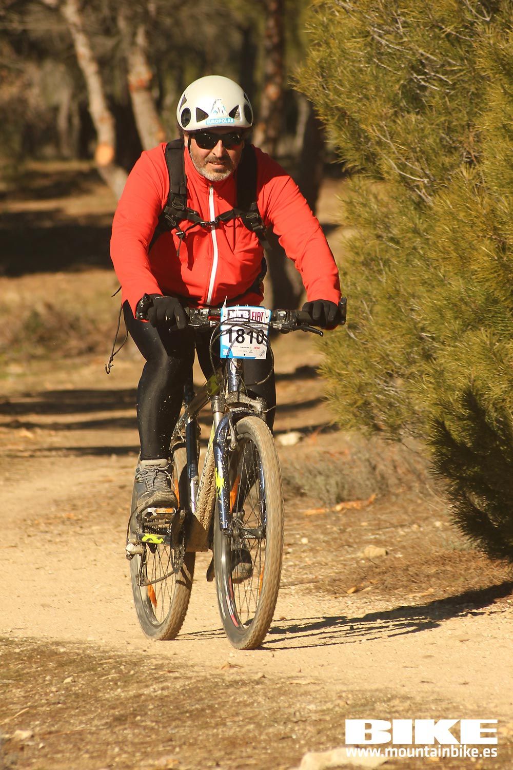 Valdemorillo 2015 Galeria 10