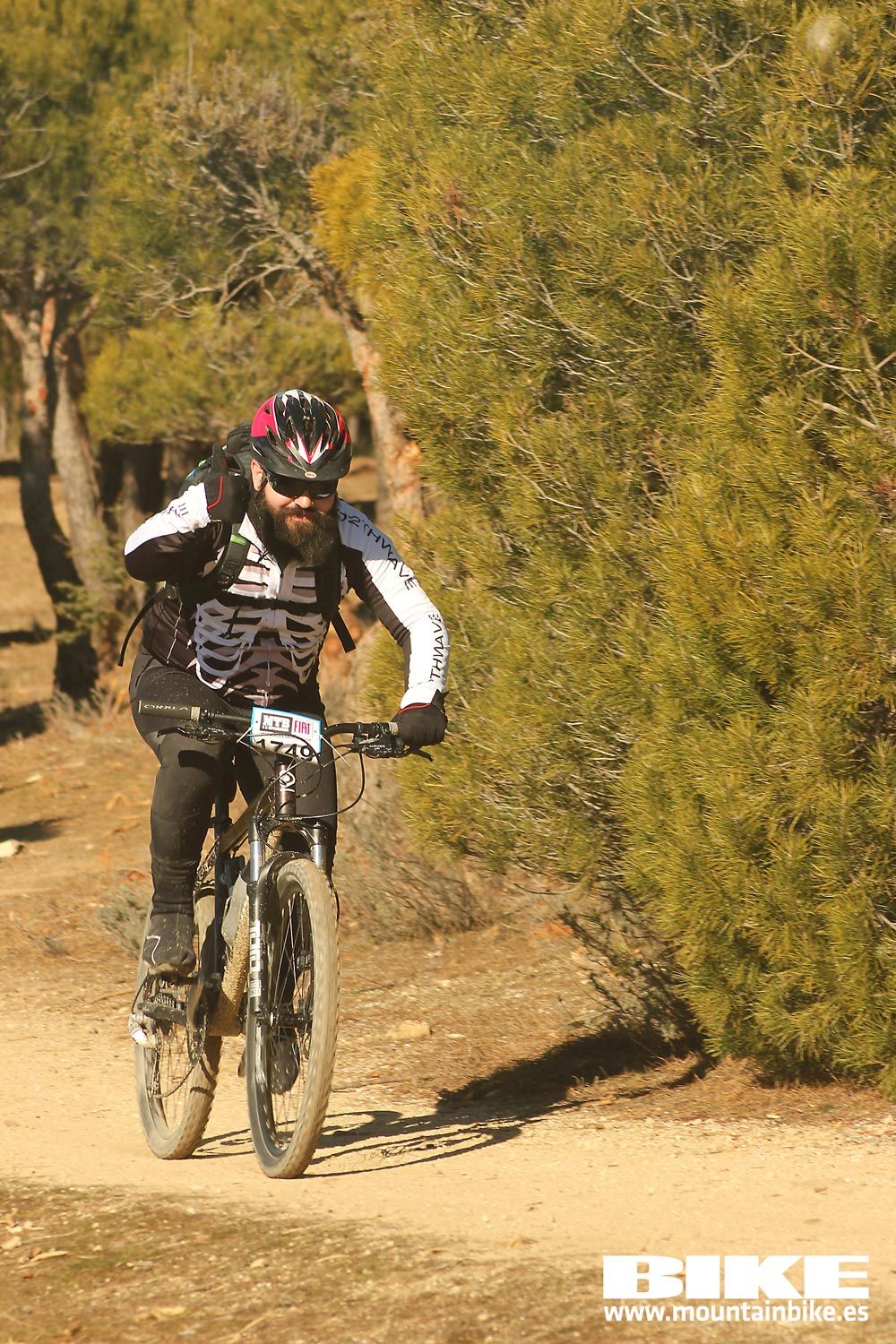 Valdemorillo 2015 Galeria 10