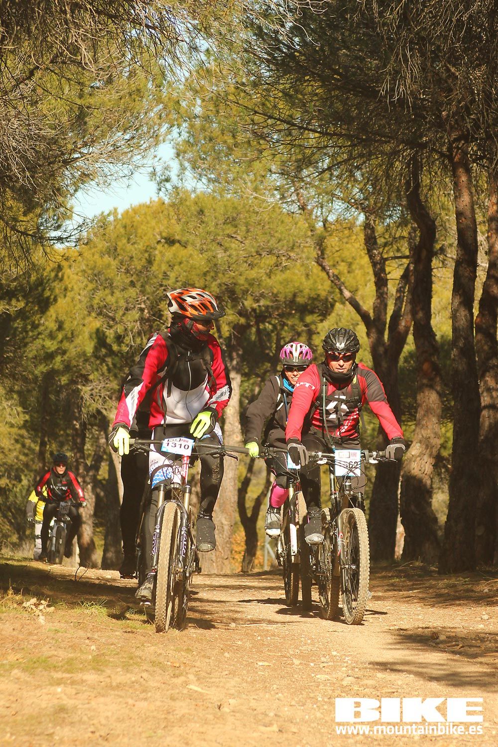 Valdemorillo 2015 Galeria 10