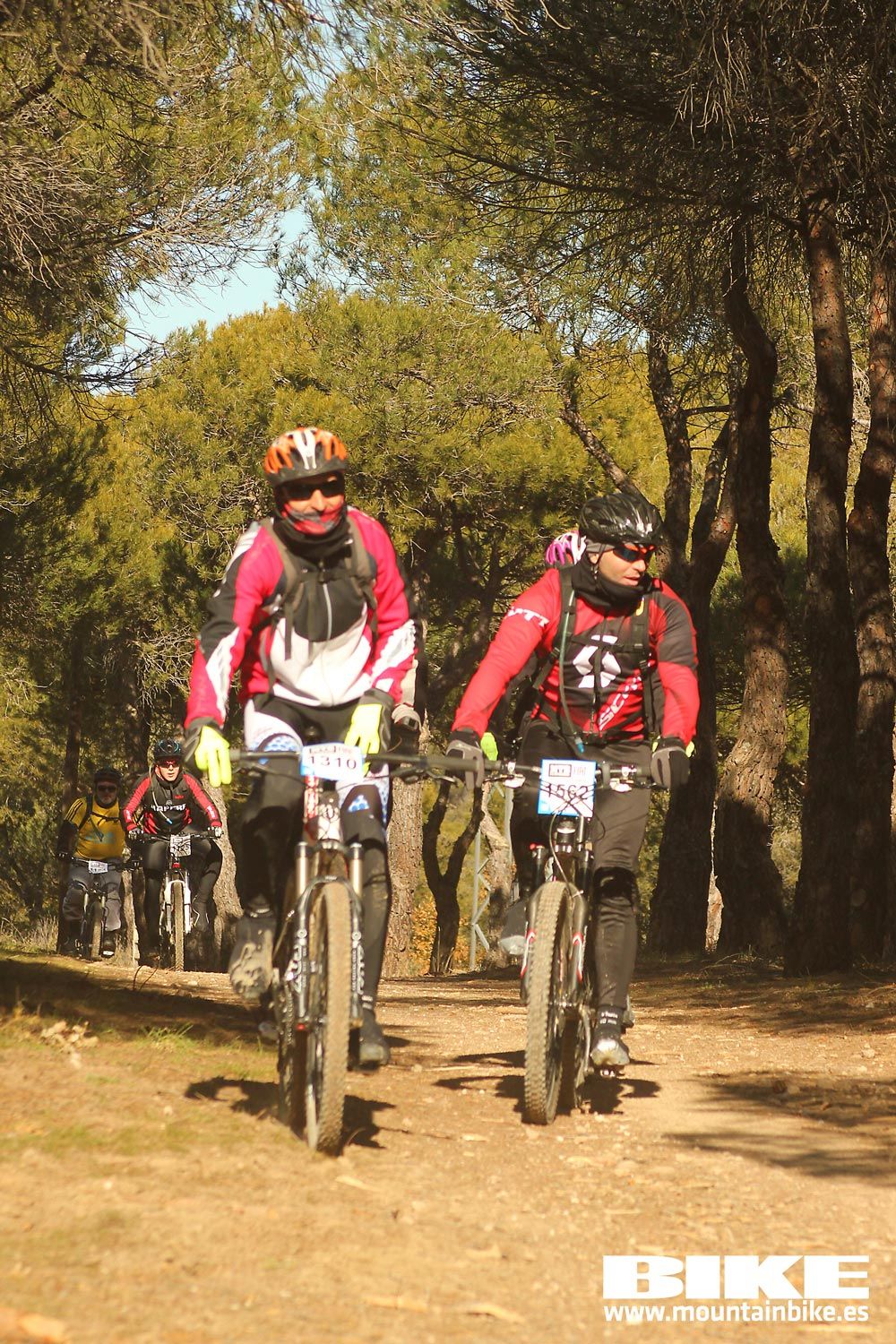 Valdemorillo 2015 Galeria 10