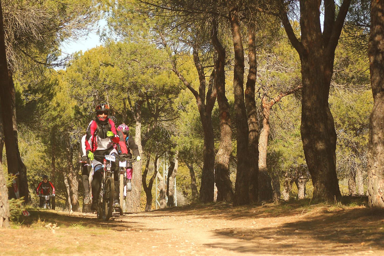Valdemorillo 2015 Galeria 10