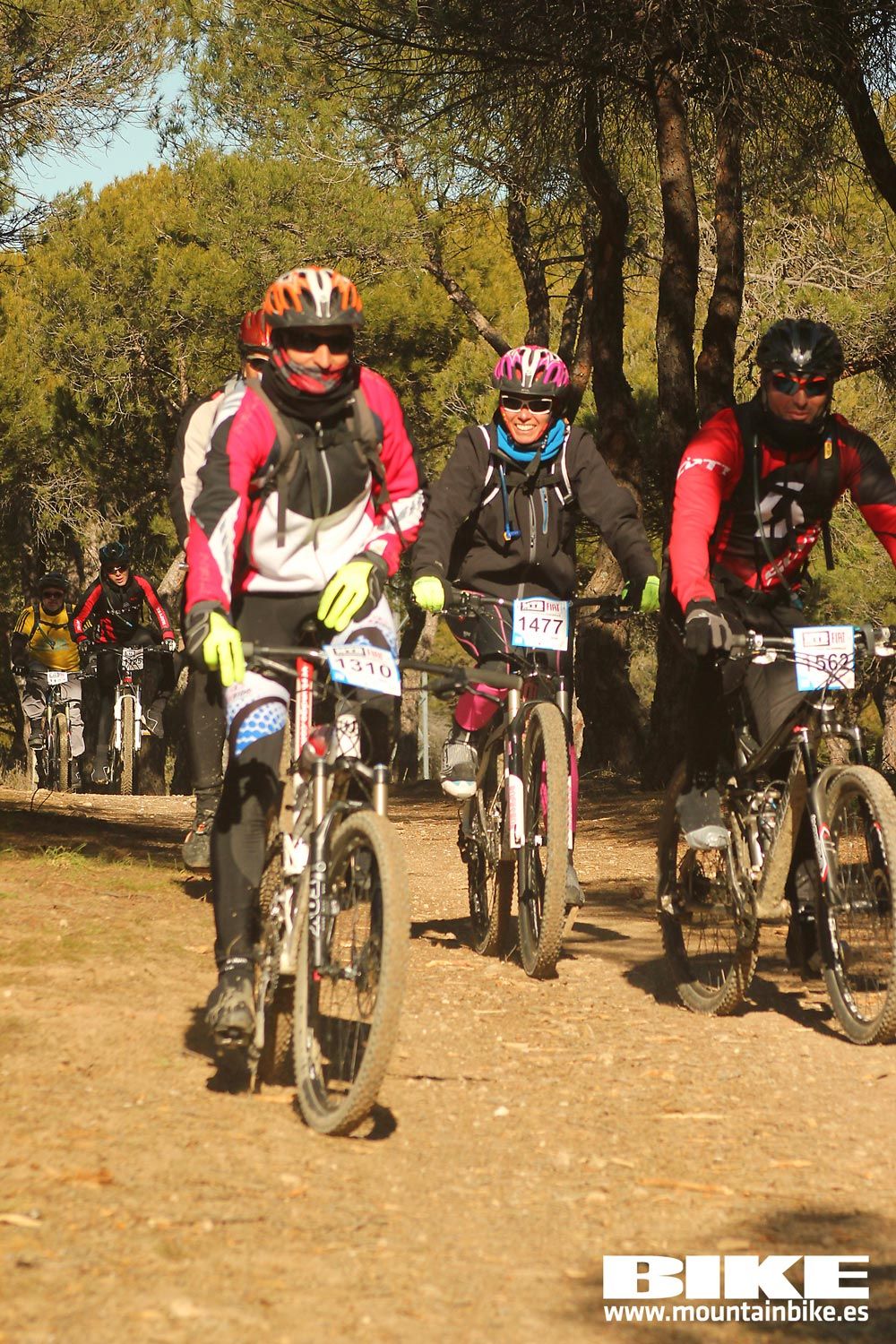 Valdemorillo 2015 Galeria 10